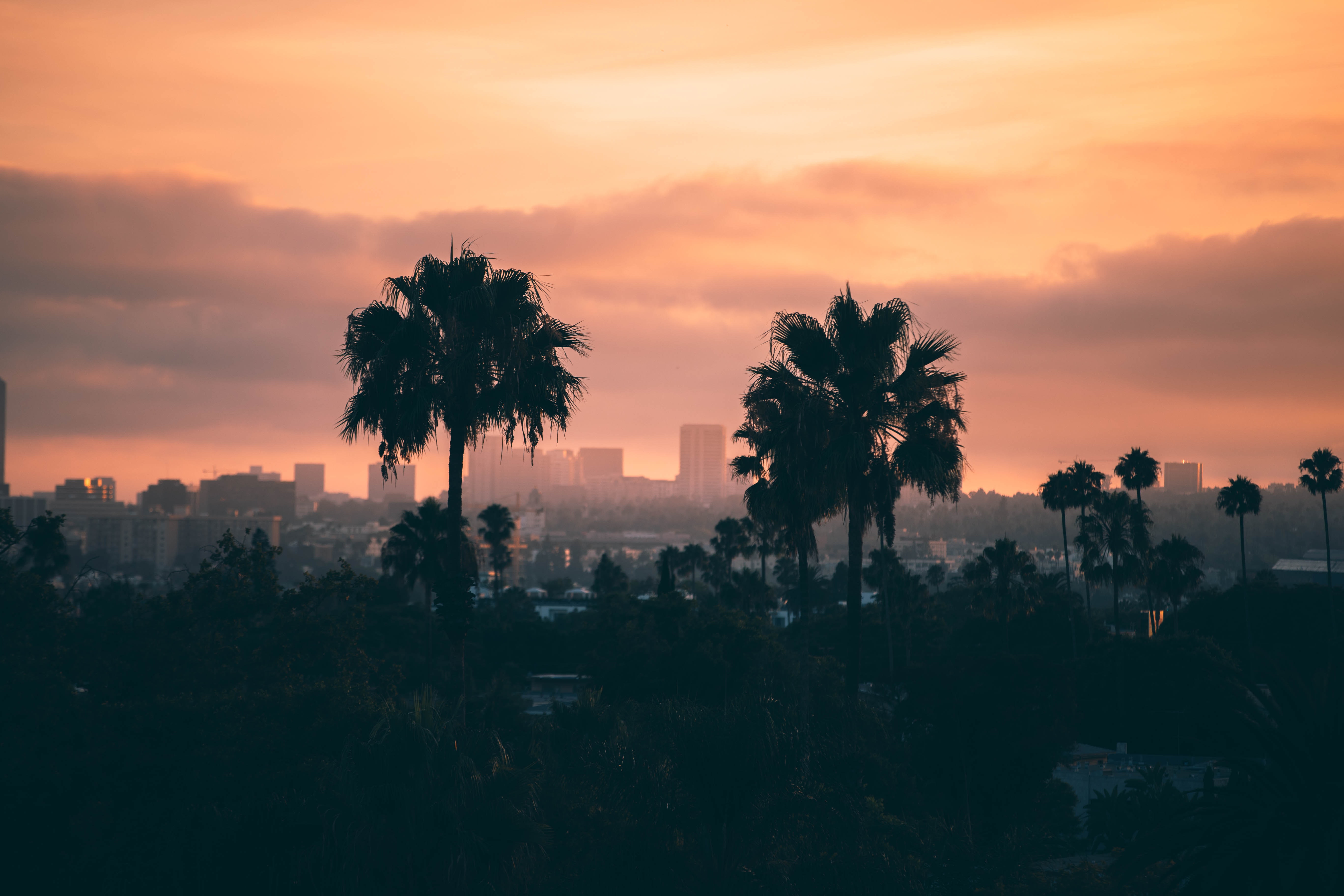 Los Angeles Becomes Latest City to Hire 'Chief Heat Officer' | Smart News - Vimarsana News