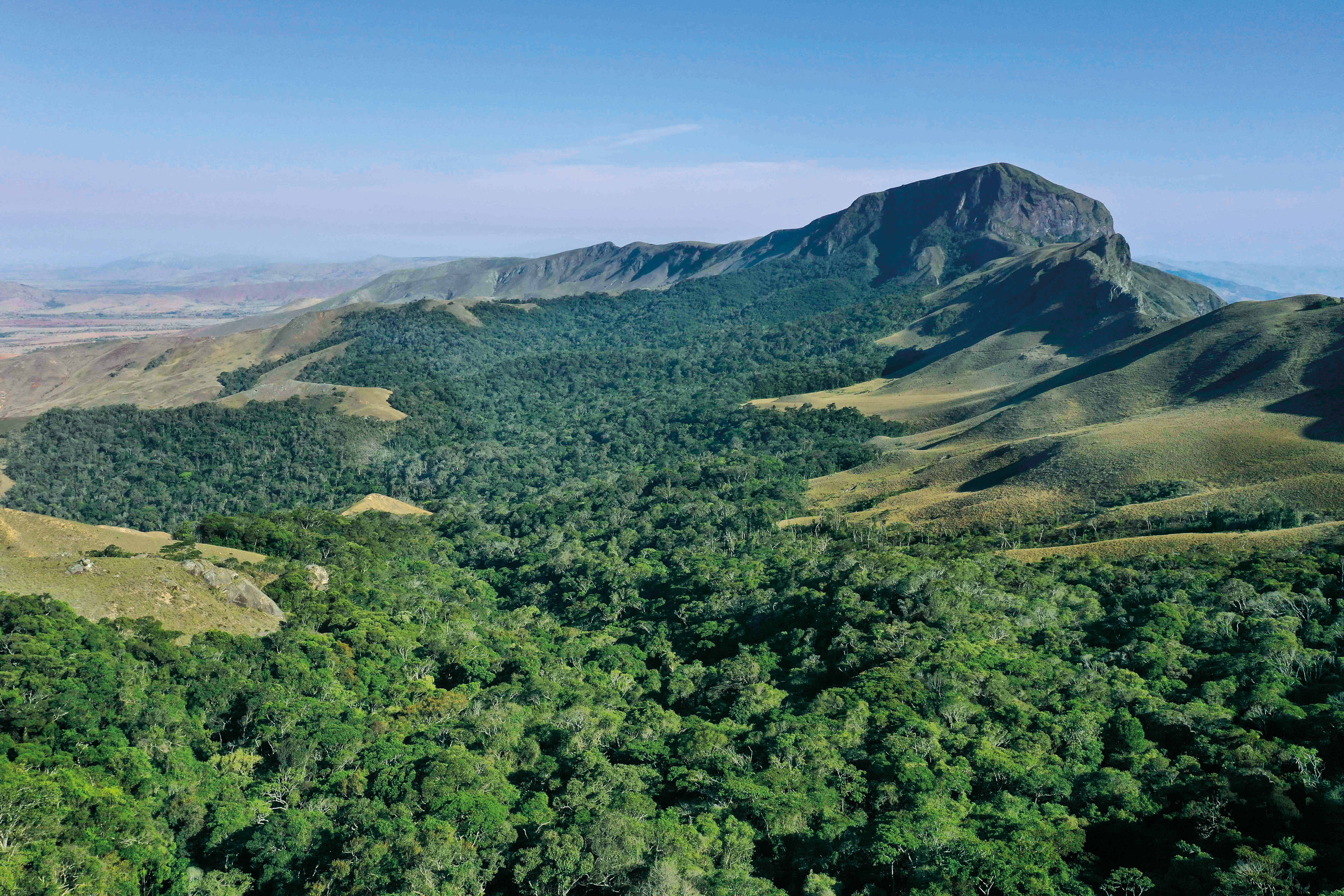 Into the Forbidden Forest | Science | Smithsonian Magazine - Vimarsana News