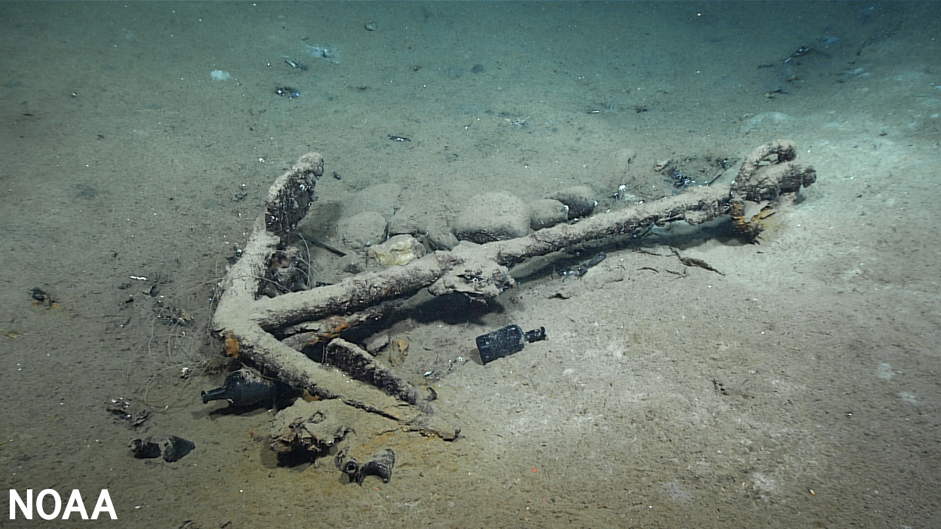 A Shipwreck, a Robot and an Archival Treasure Hunt Reveal the Diverse History of the Whaling Industry | Smart News - Vimarsana News