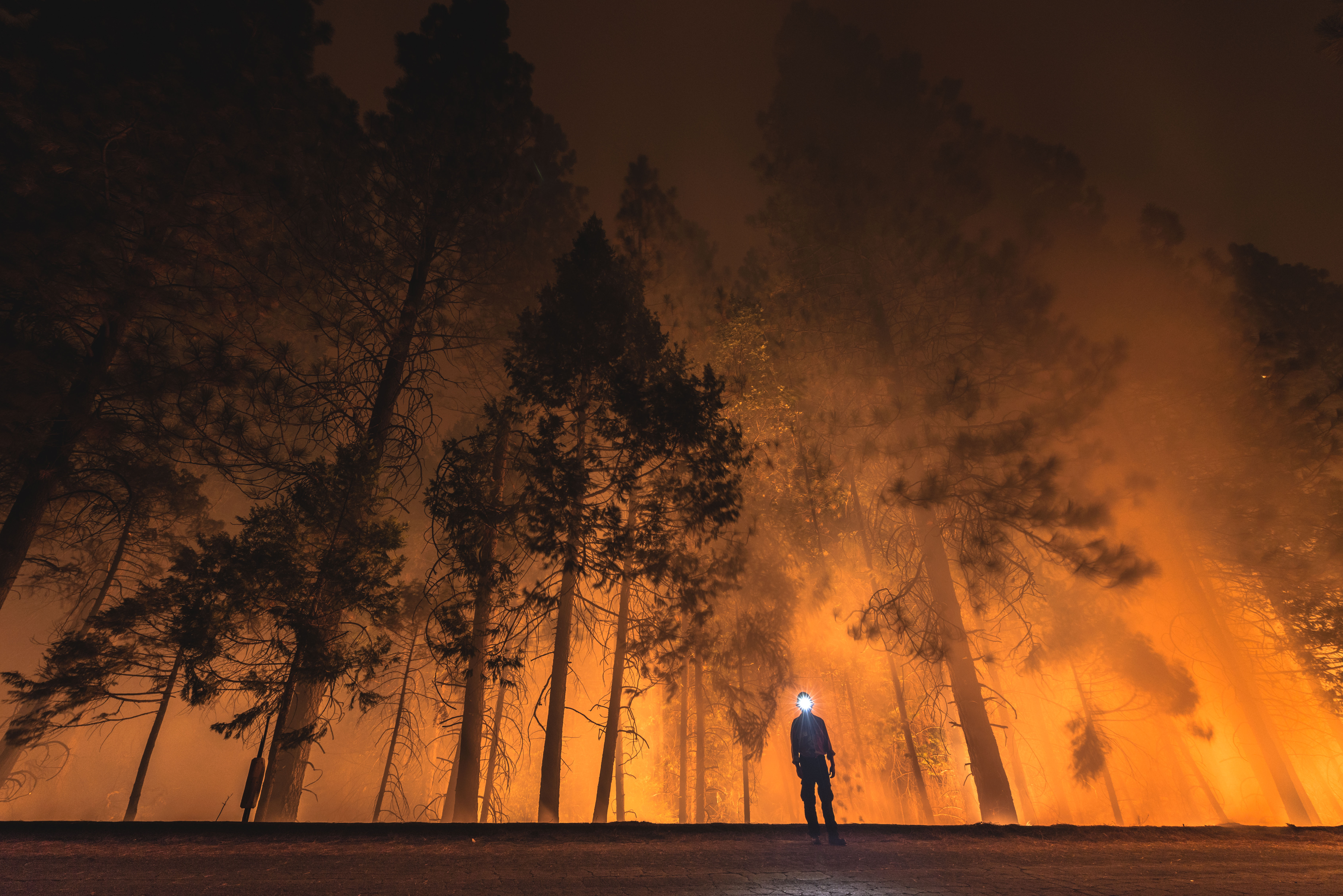 See How California Artists Process Wildfires Through Their Work | Smart News - Vimarsana News