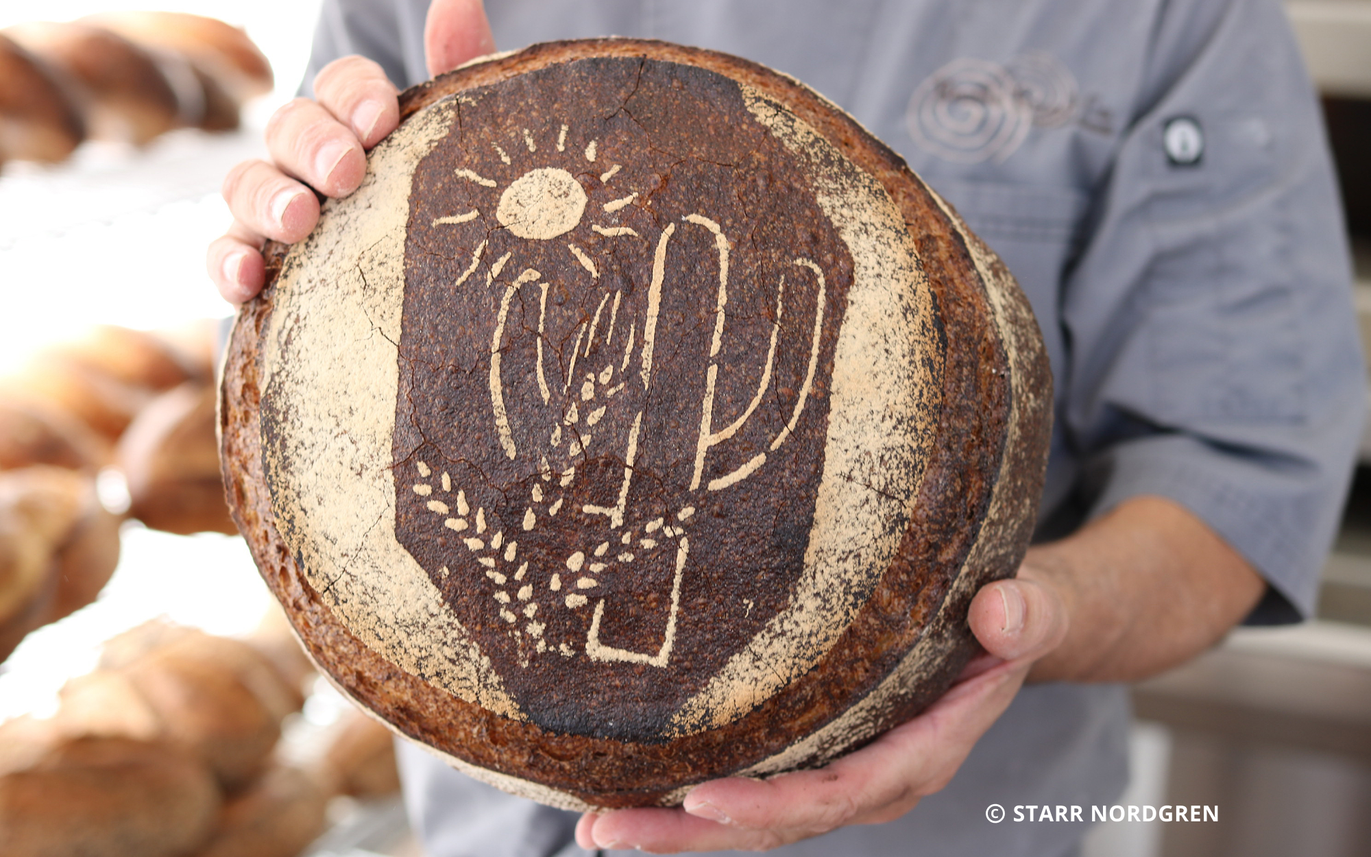 Arizona: Serving Up Dazzling Dishes With a Side of History | Sponsored - Vimarsana News