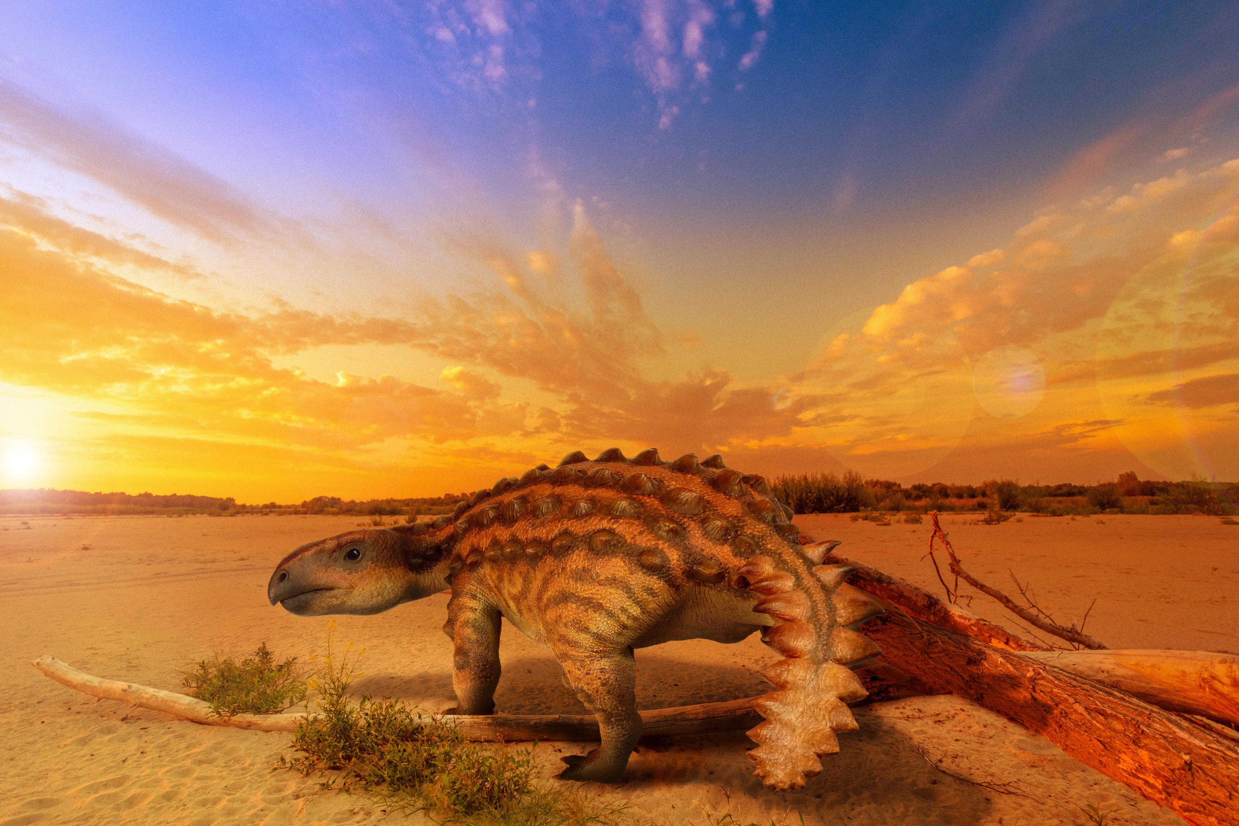New Species of Ankylosaur Unearthed in Chile Had a Flat Weapon-Like Tail | Smart News - Vimarsana News