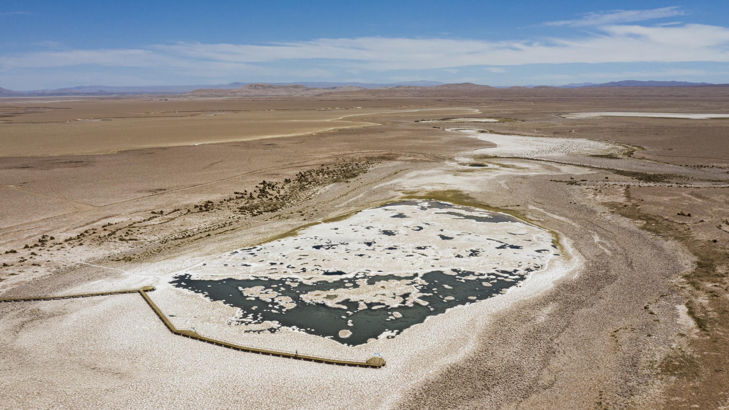 Clay-encrusted Microbes Provide Clues to How Early Life Developed on Earth and Potentially Mars - Vimarsana News