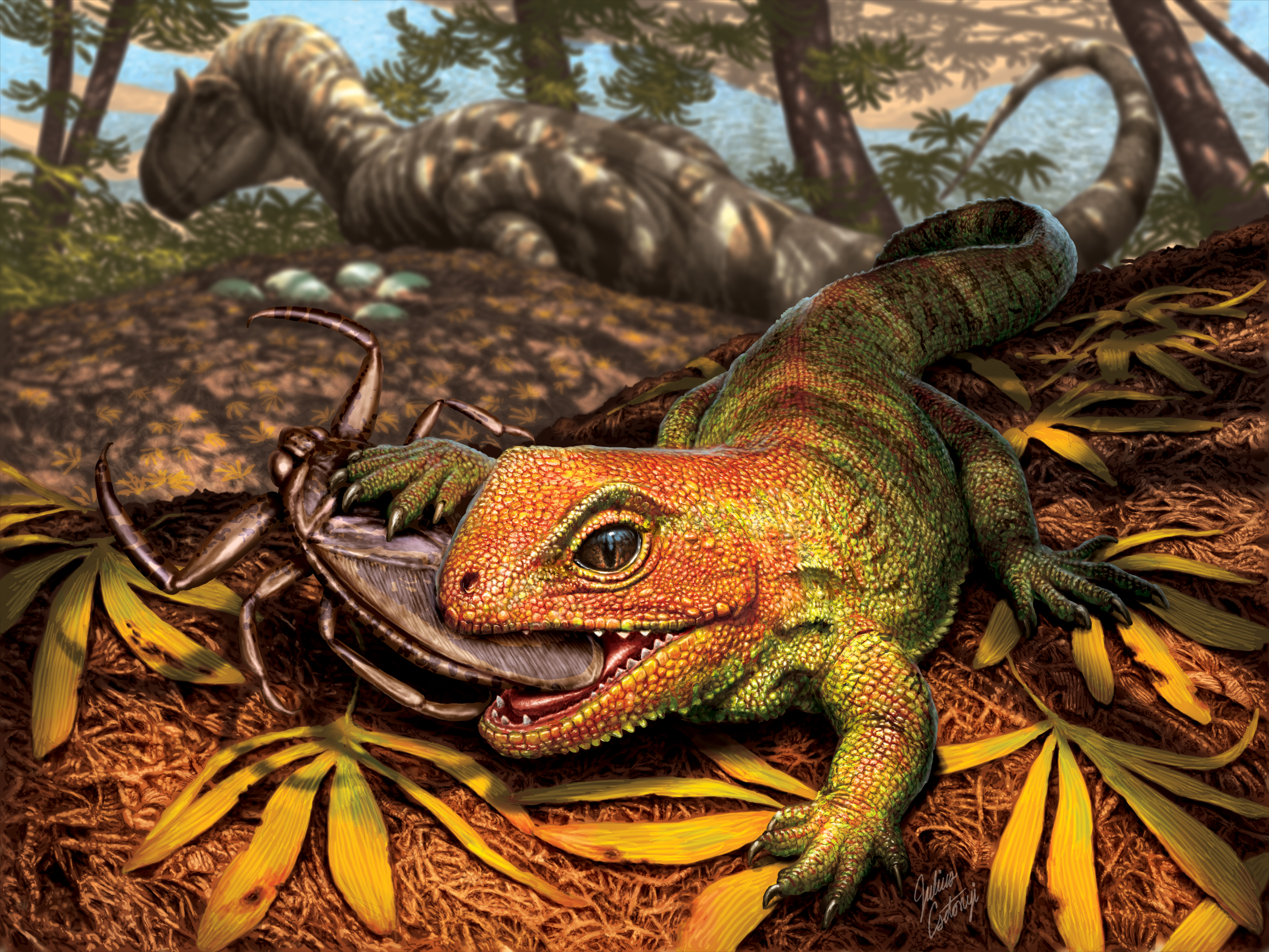 2022 in Review: The Year's Top Discoveries by Museum Researchers | Smithsonian Voices | National Museum of Natural History Smithsonian Magazine - Vimarsana News