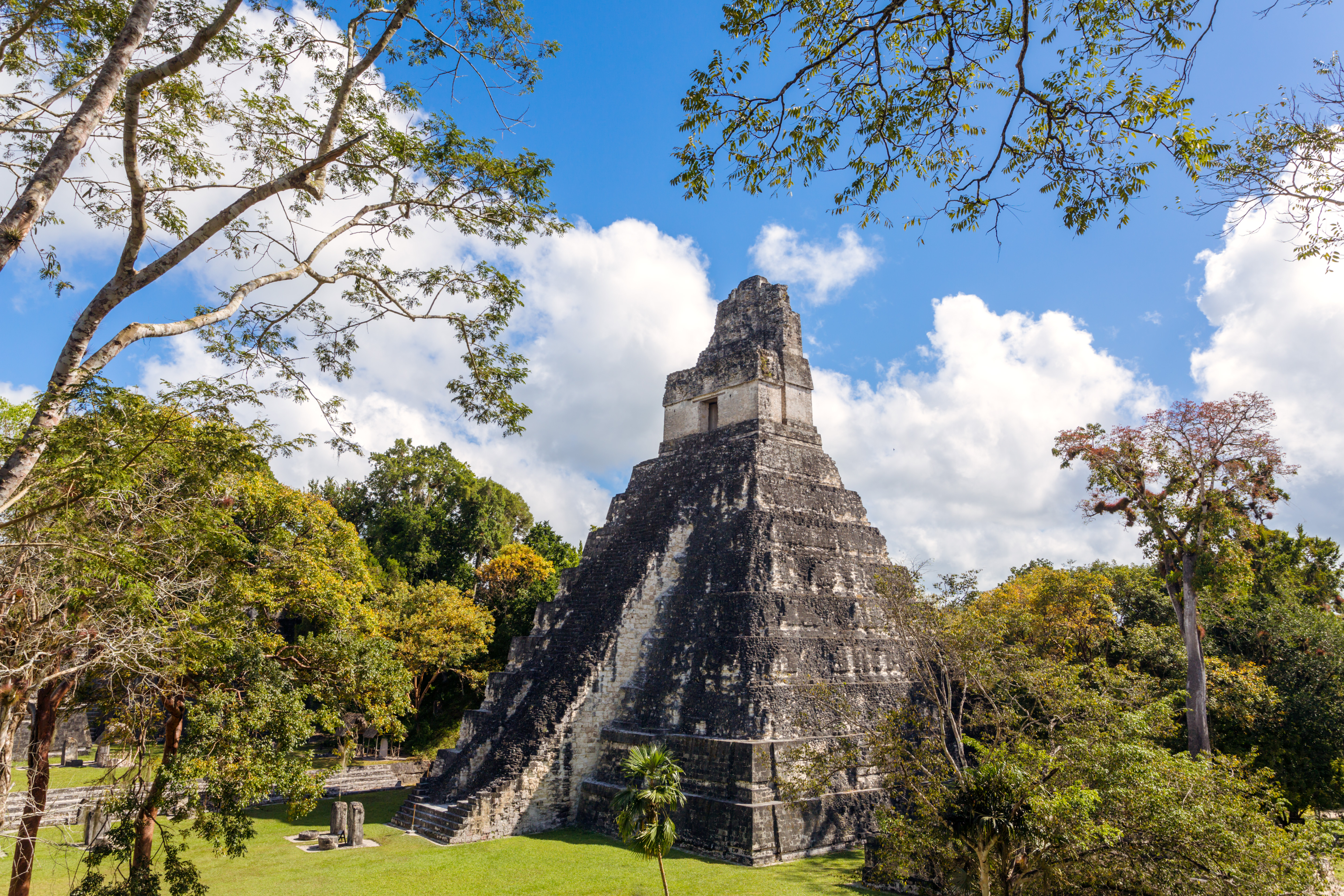 Ancient Maya Cities Were Polluted With High Levels of Mercury | Smart News - Vimarsana News