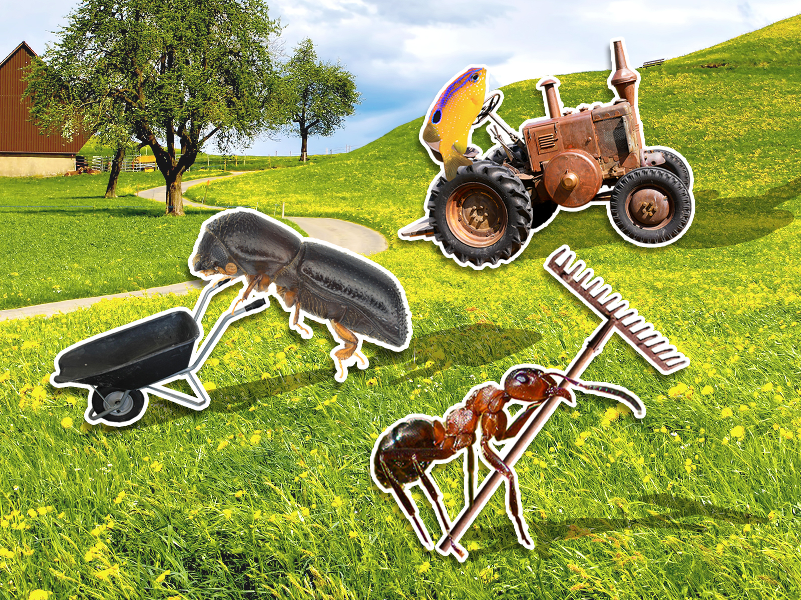 Could Ants, Termites and Fishes Make Humans Better Farmers? | At the Smithsonian - Vimarsana News
