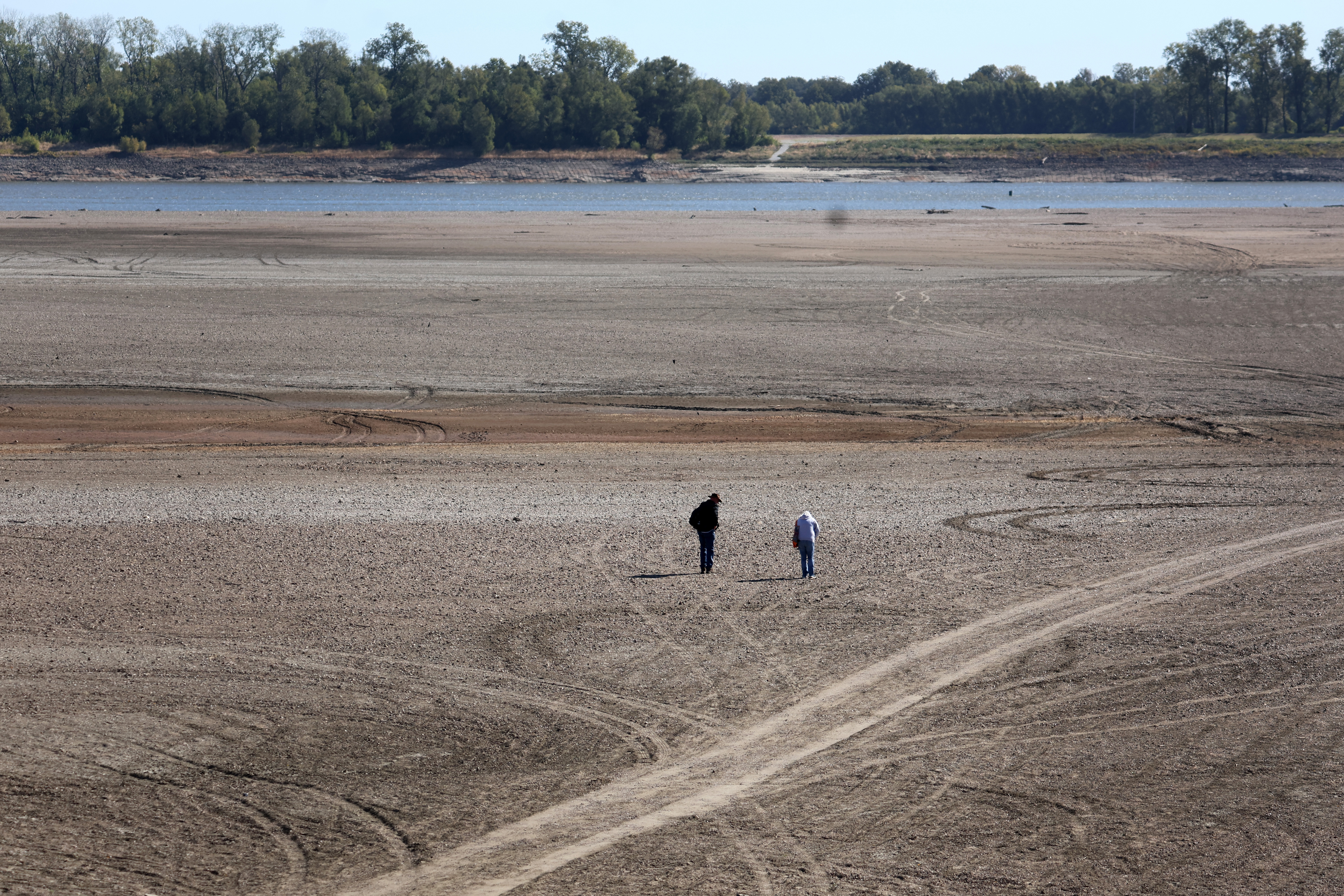 Drought Reveals Rare American Lion Fossil in Dried Up Mississippi River | Smart News - Vimarsana News