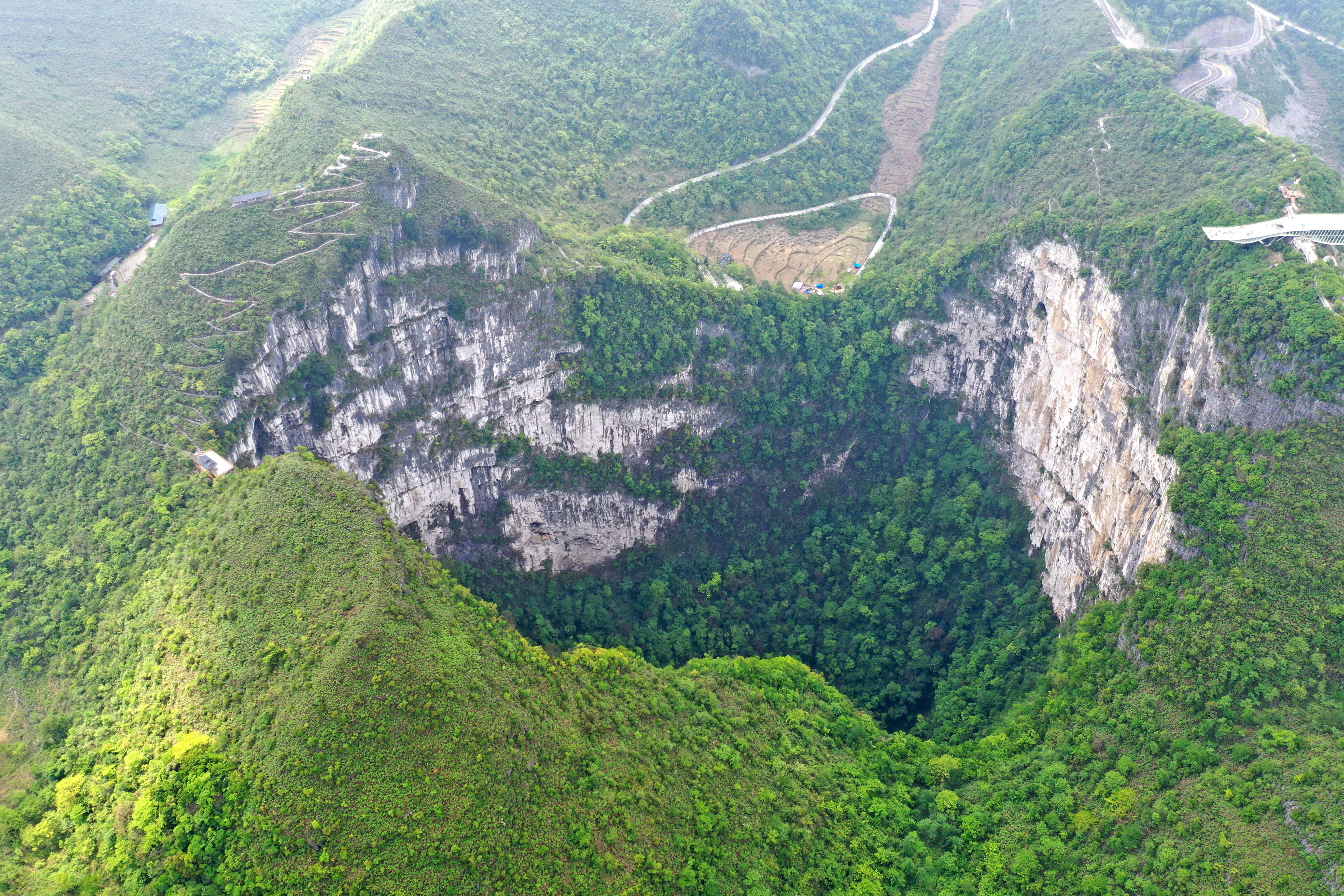 Ancient Forest Discovered in Chinese Sinkhole | Smart News - Vimarsana News