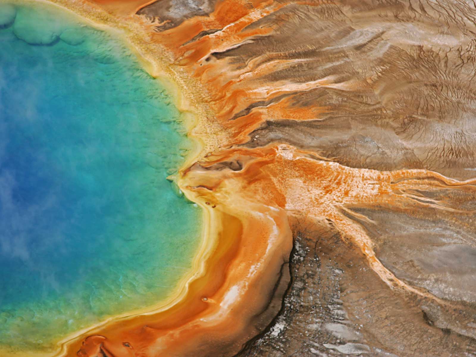 Five Big Changes Scientists Have Documented During Yellowstone National Park's 150-Year History | Science - Vimarsana News
