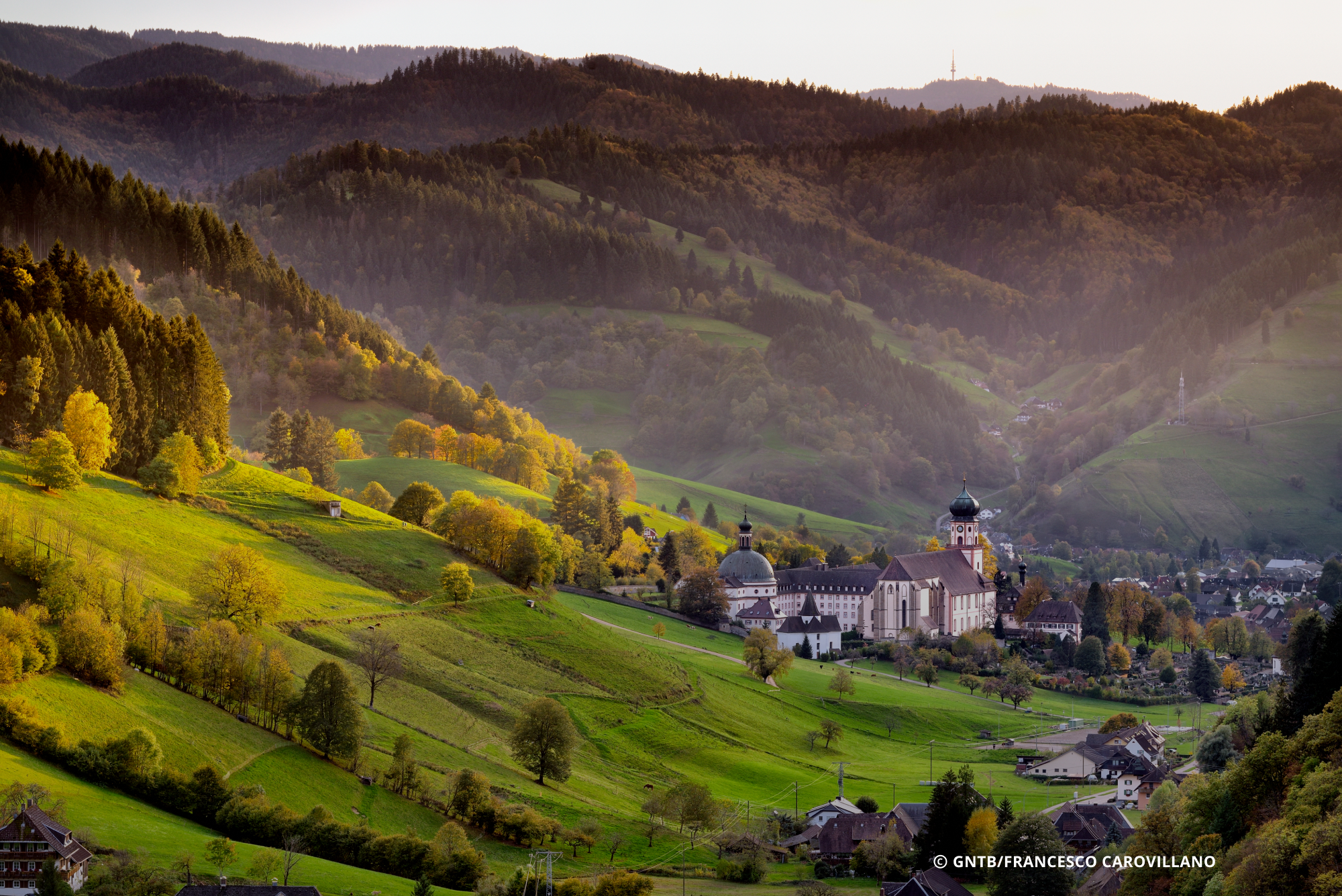 Six Reasons Germany Is a Dream for Nature Lovers | Sponsored - Vimarsana News