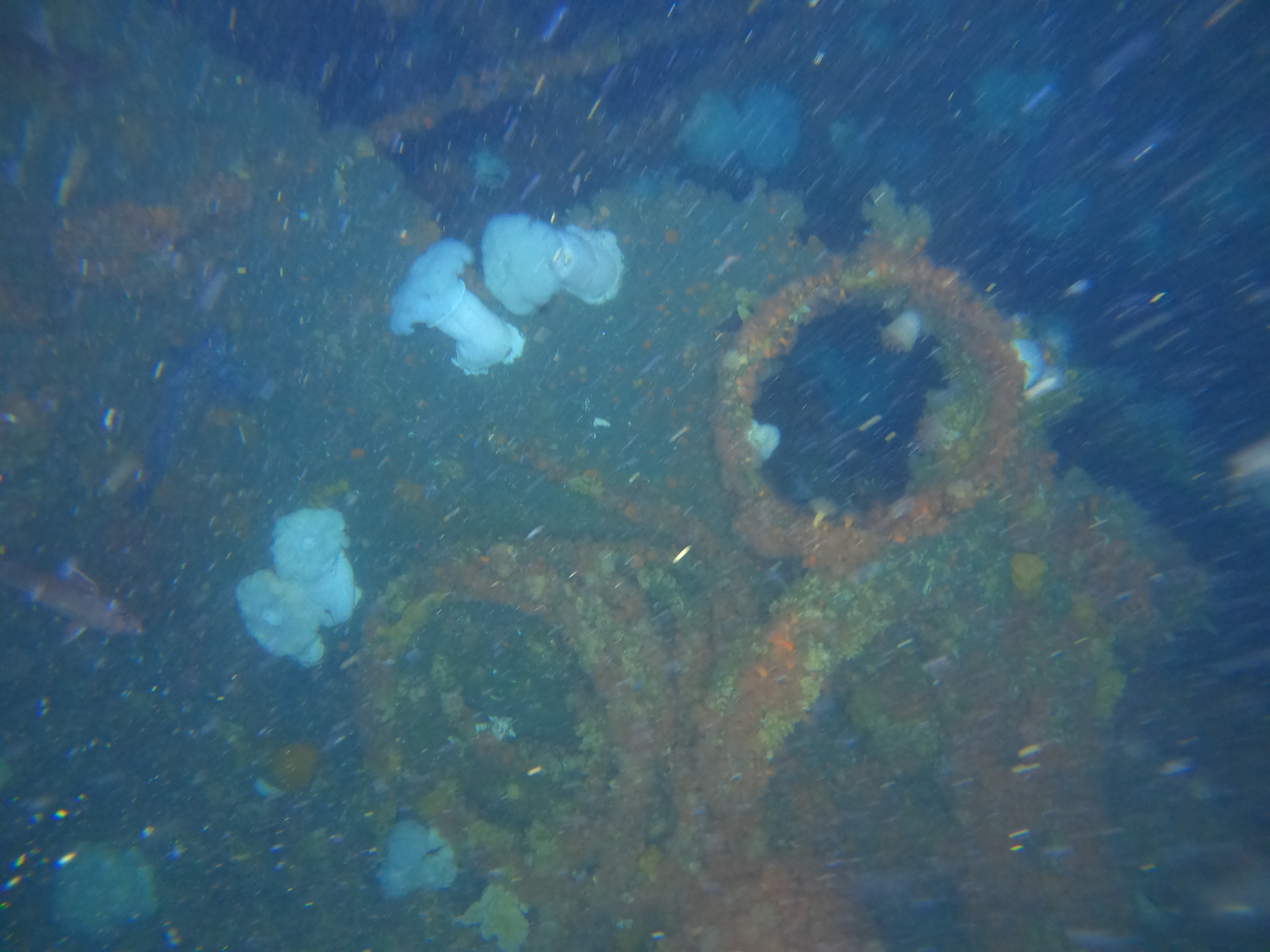 Murky underwater scene showing part of a shipwreck