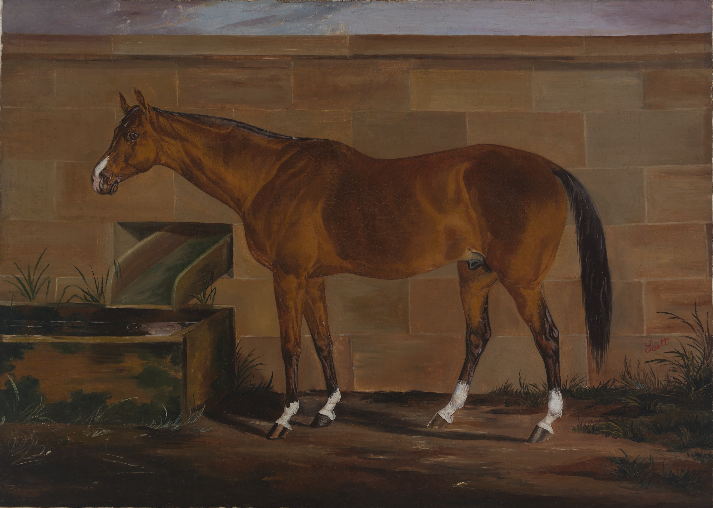 The Lost Story of Lexington, the Record-Breaking Thoroughbred, Races Back to Life | At the Smithsonian - Vimarsana News
