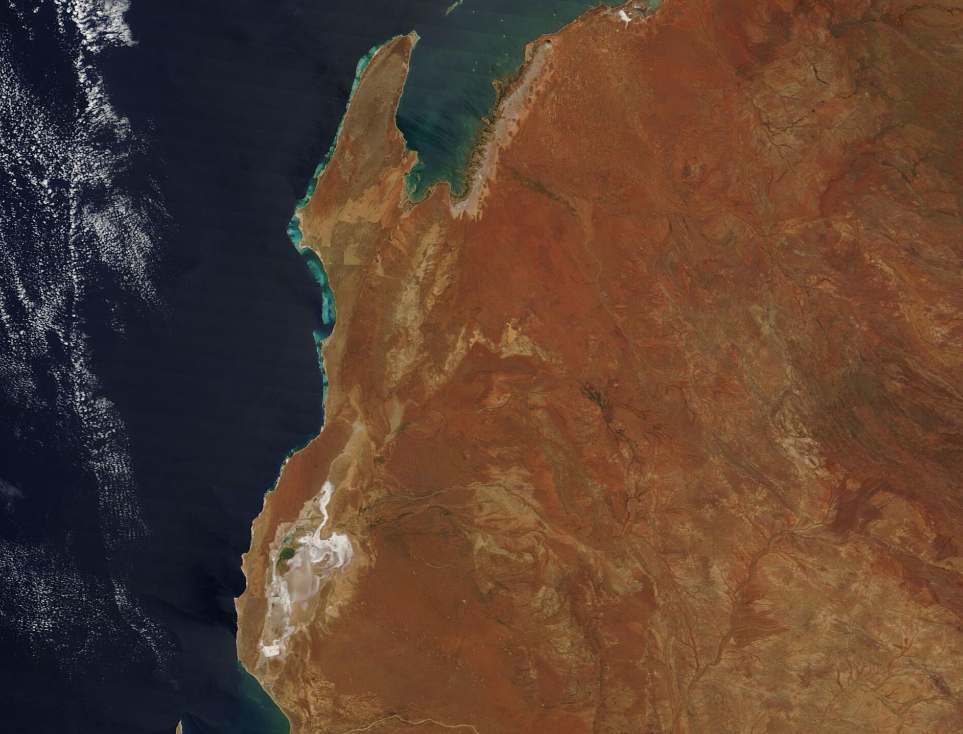 Shocking New Marine Life Discovered Underwater