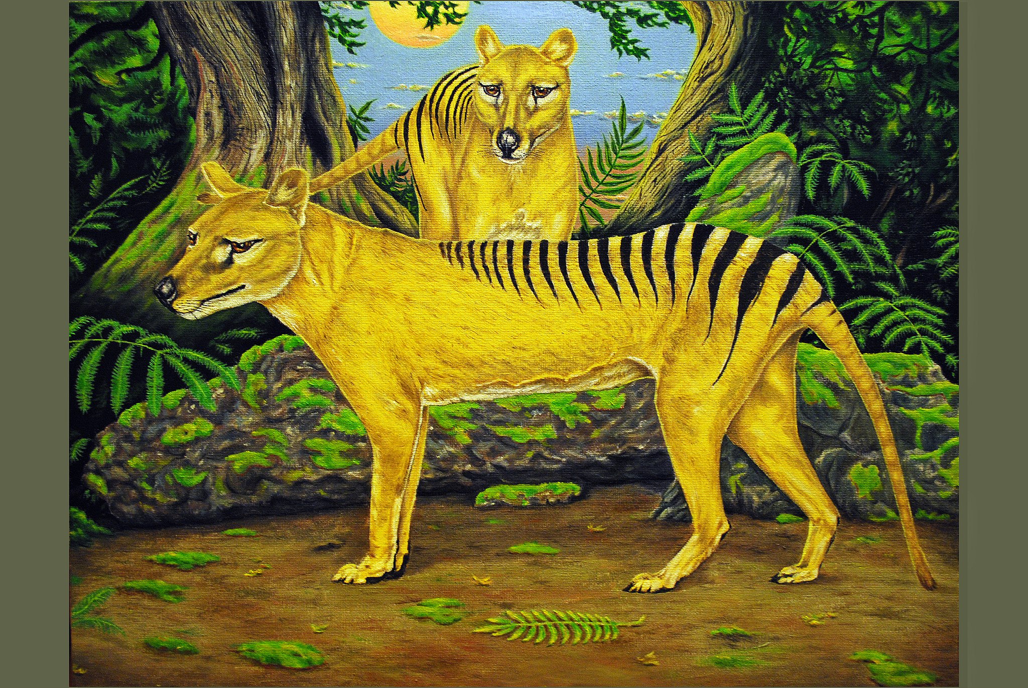 Why the Idea of Bringing the Tasmanian Tiger Back From Extinction Draws So Much Controversy | Smart News - Vimarsana News
