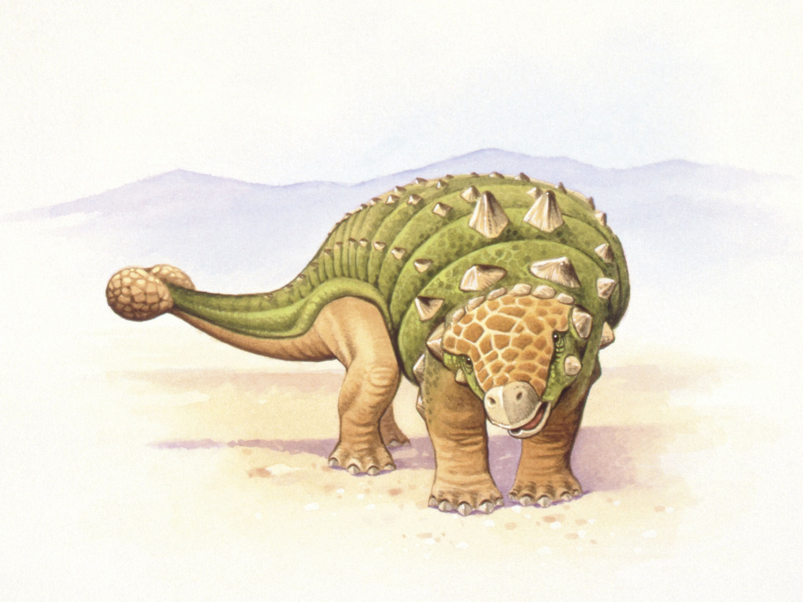 New Fossil Finds Track When Armored Dinosaurs Spread Around the World | Science - Vimarsana News
