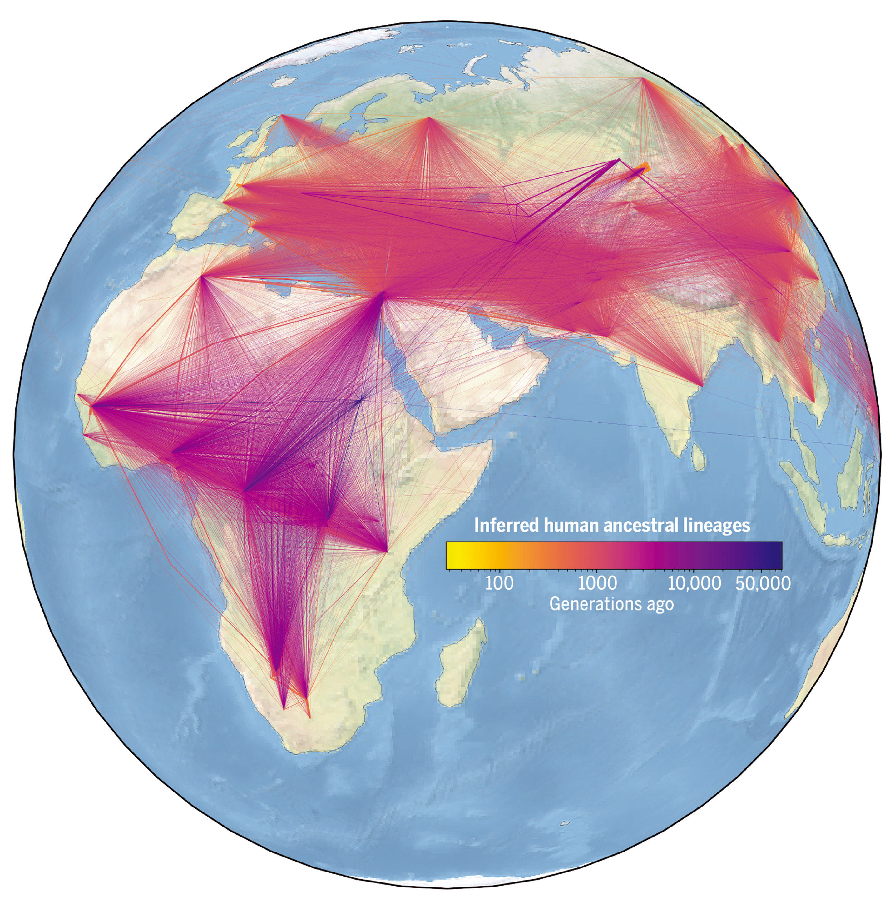 Largest Human Family Tree Identifies Nearly 27 Million Ancestors | Smart News - Vimarsana News
