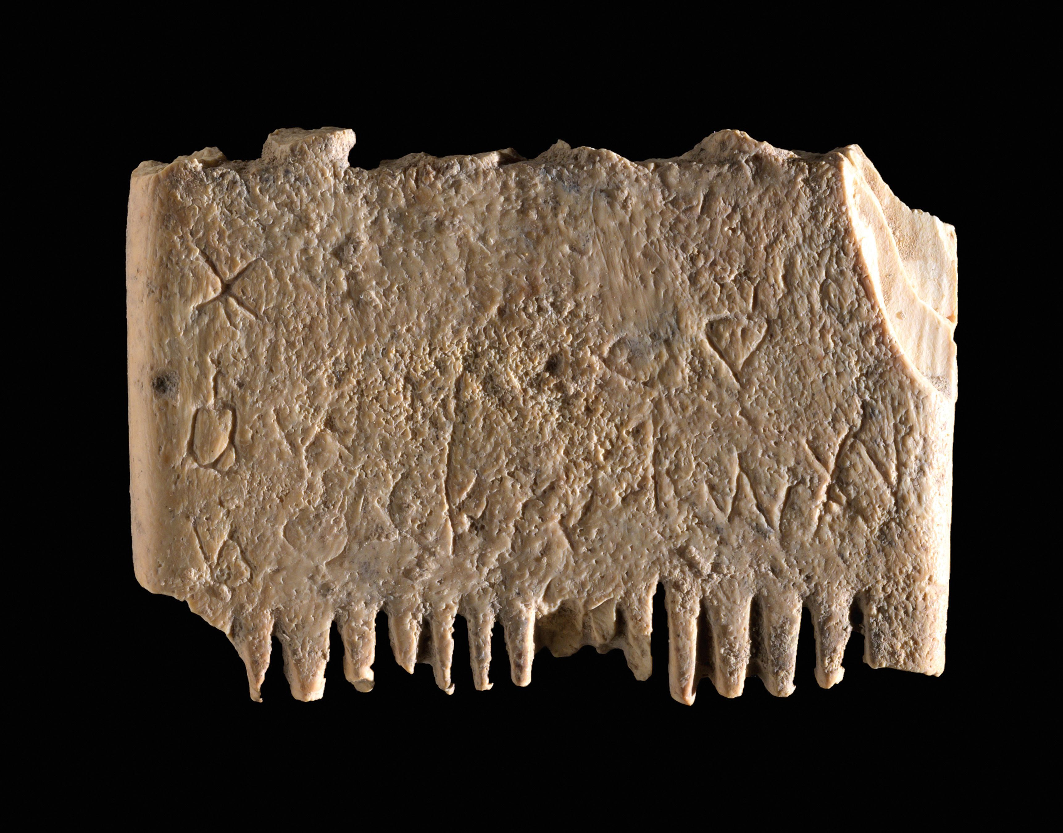 What a Comb Can Tell Us About the History of the Written Word | History - Vimarsana News