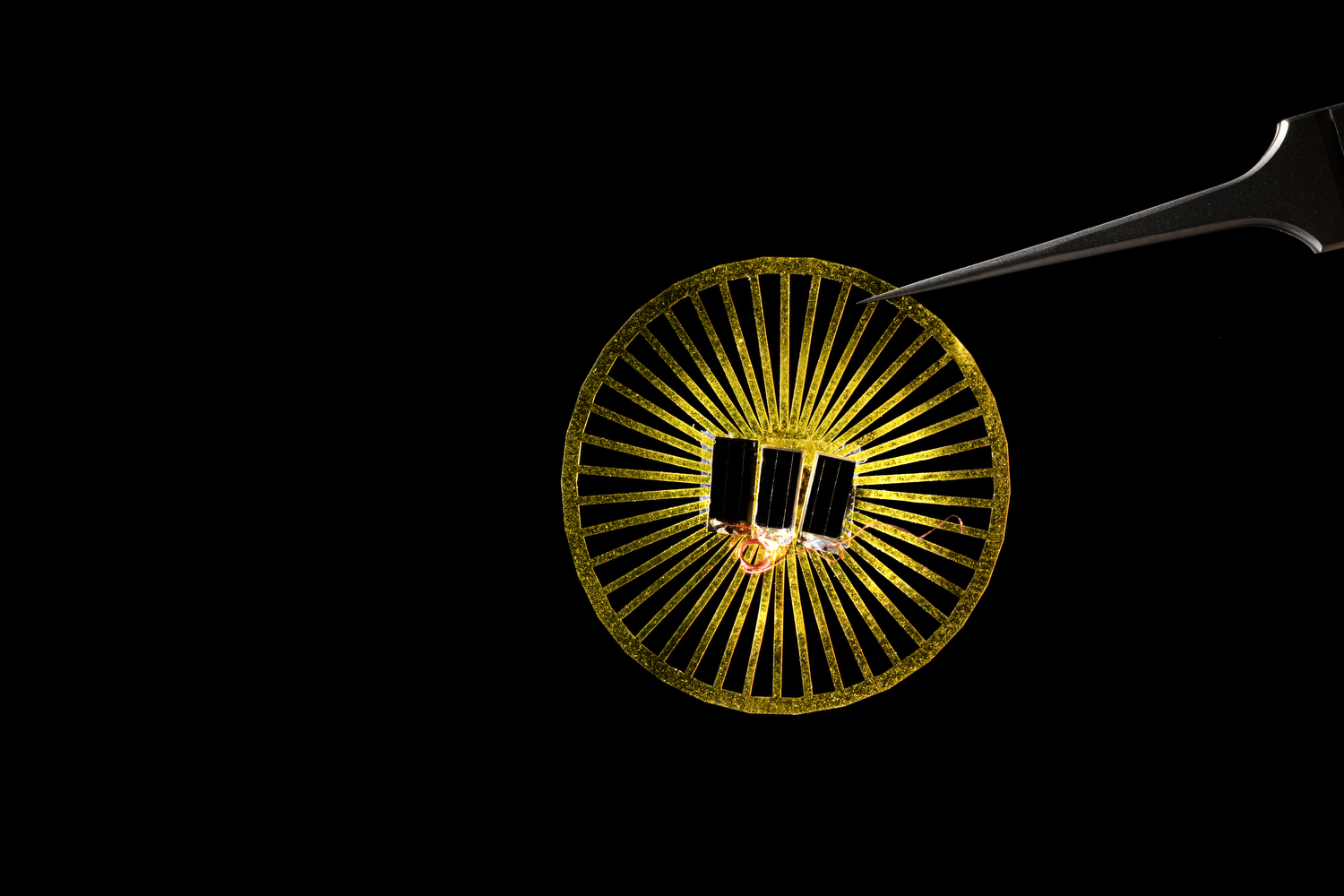 Tiny, Solar-Powered Sensors Fly Through the Air Like Dandelion Seeds | Smart News - Vimarsana News