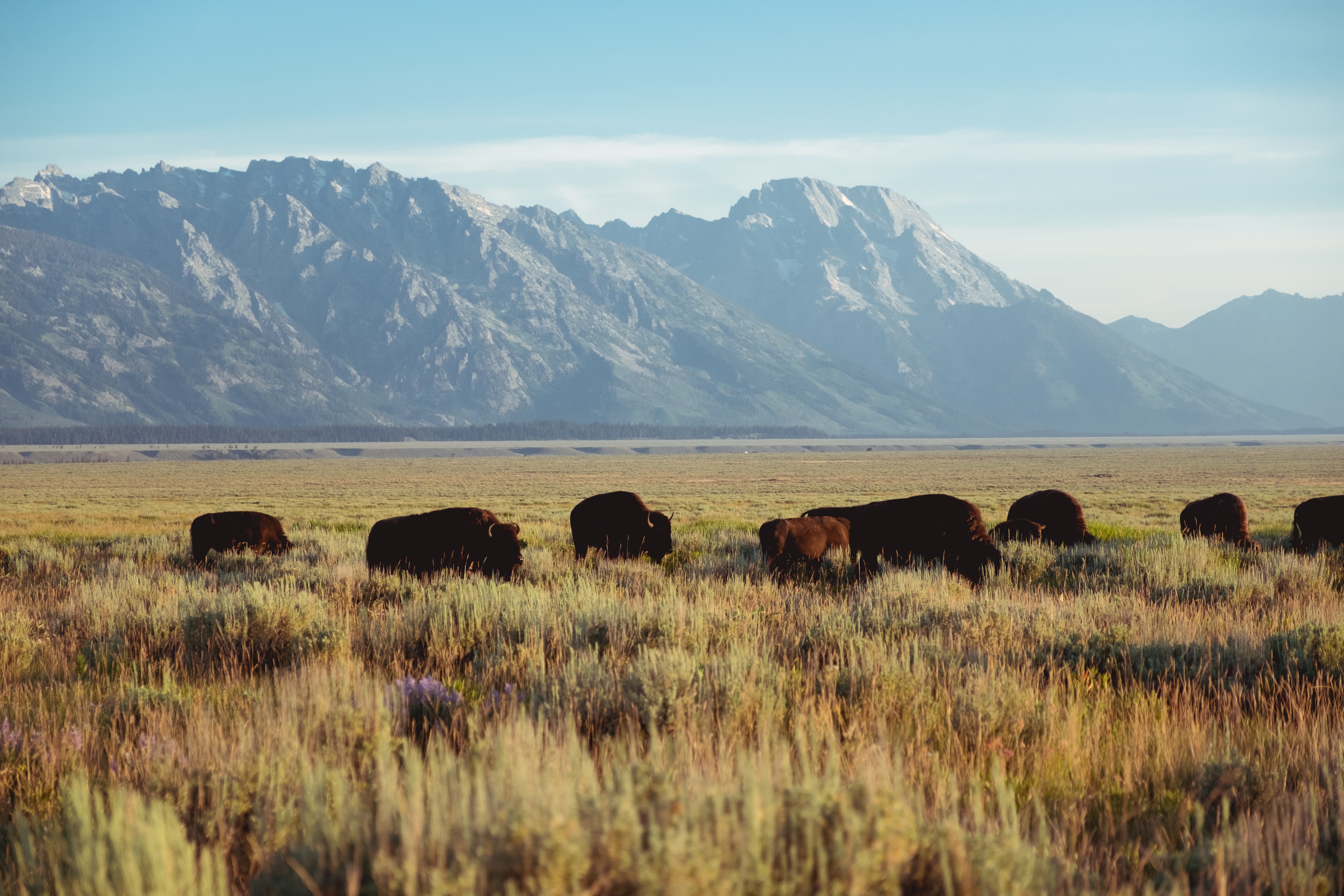Celebrate Indigenous Peoples' Day With These Indigenous-Focused Conservation Reads | Smithsonian Voices - Vimarsana News