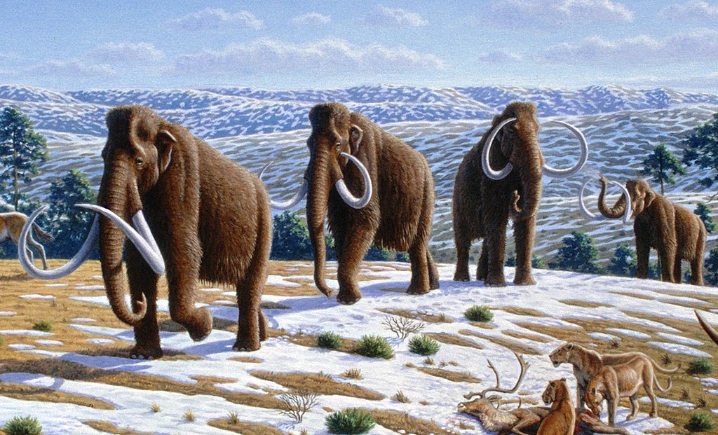 Alaska Couple Finds Massive Mammoth Bone After Storm | Smart News - Vimarsana News