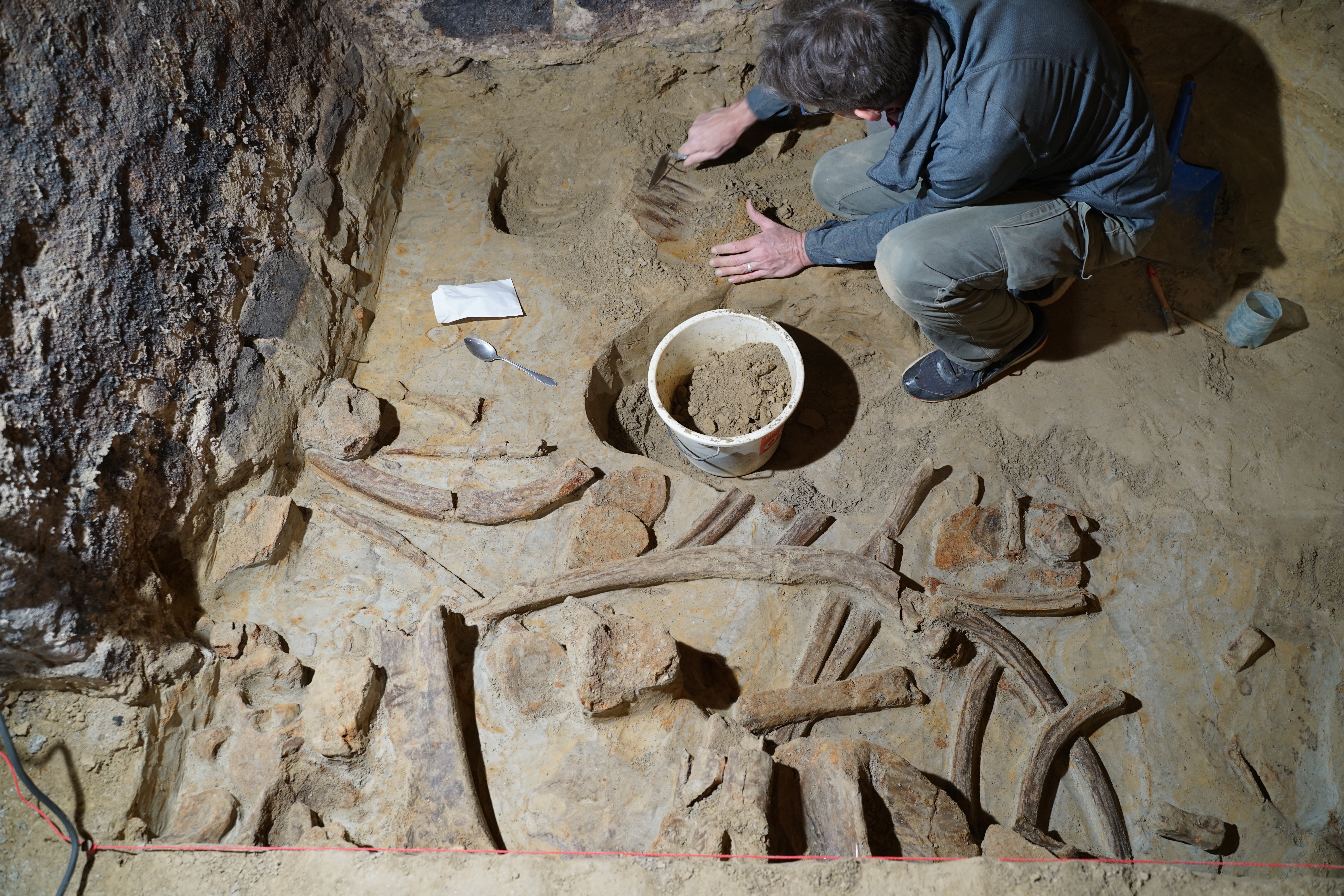 Marc H&auml;ndel, an archaeologist with the&nbsp;Austrian Academy of Sciences, excavates rib bones in the wine cellar.