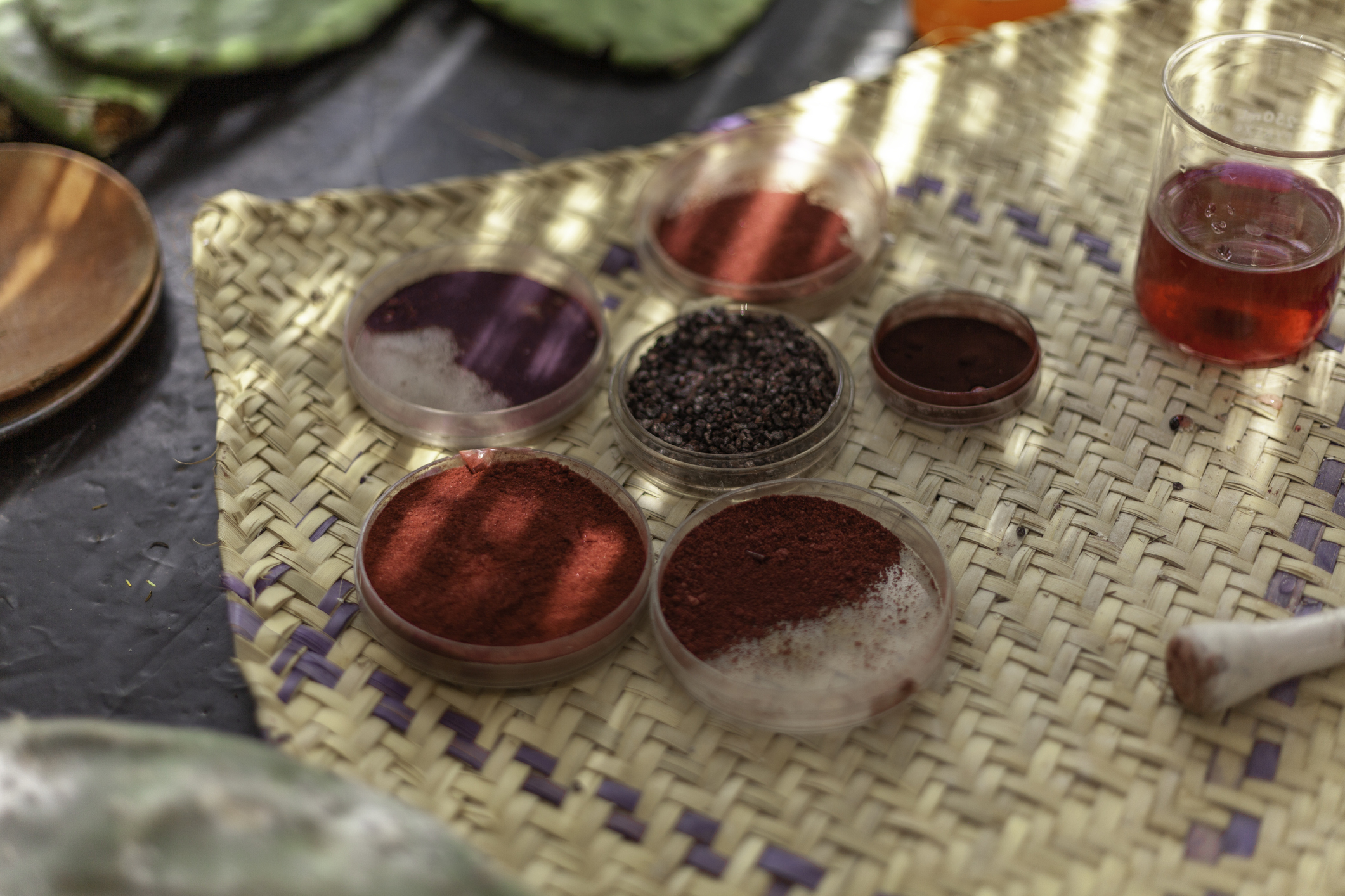Scientists Are Making Cochineal, a Red Dye From Bugs, in the Lab | Innovation - Vimarsana News