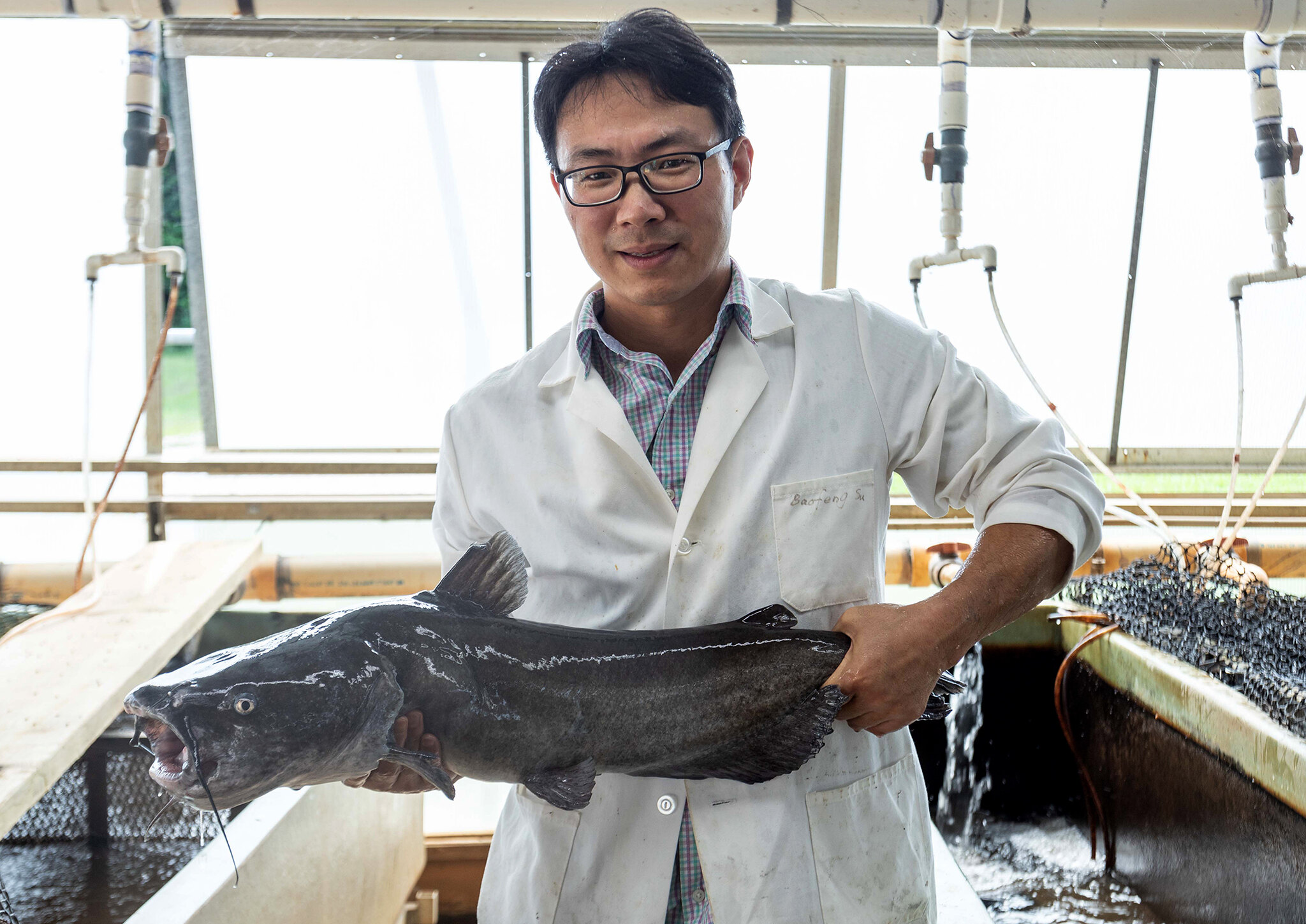 Scientists Are Injecting Alligator Genes Into Catfish | Smart News - Vimarsana News