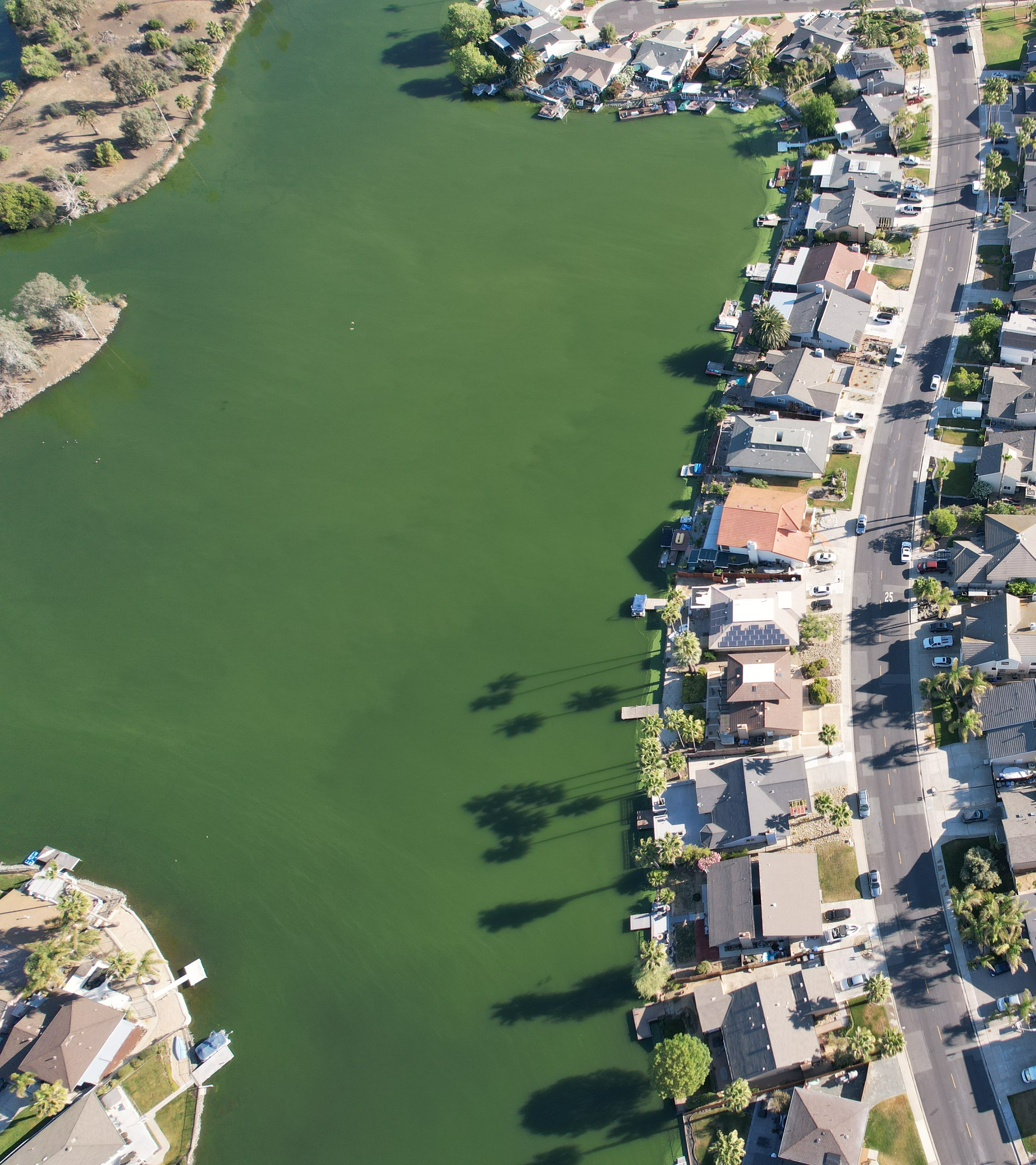 Willow Lake in Discovery Bay before treatment