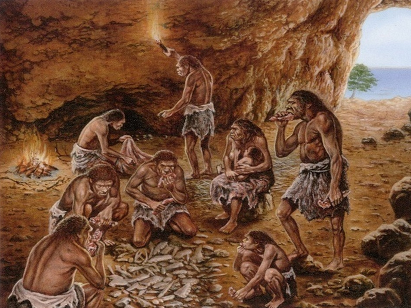 Why Early Humans Built Fires in the Center of Lazaret Cave | Smart News - Vimarsana News