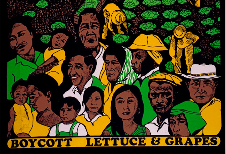 Essential or Expendable? How the UFW Fights for Farmworkers - Vimarsana News
