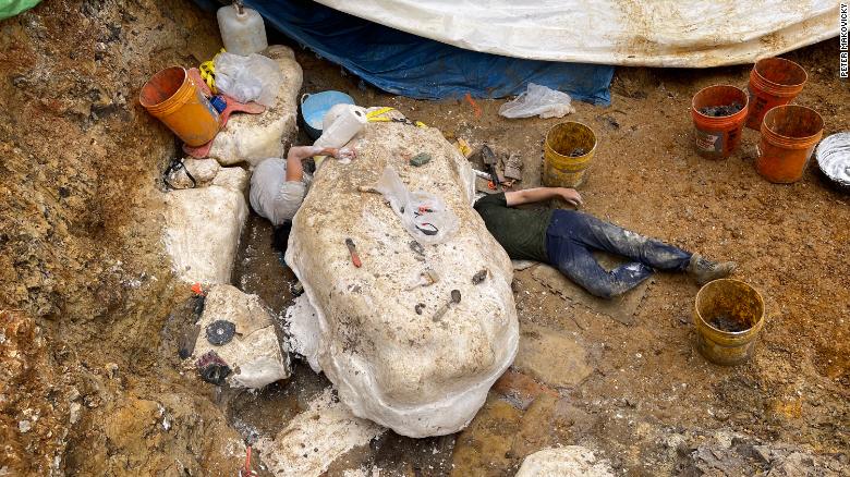 Fossil Hot-Bed Uncovered in Missouri Confirms New Species of Duck-Billed Dinosaur | Smart News - Vimarsana News