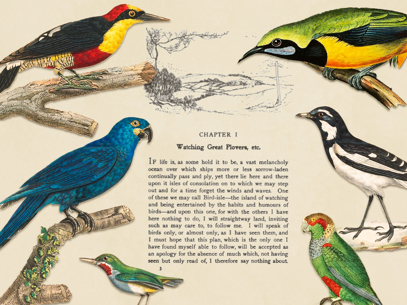 How Bird Collecting Evolved Into Bird-Watching | History - Vimarsana News