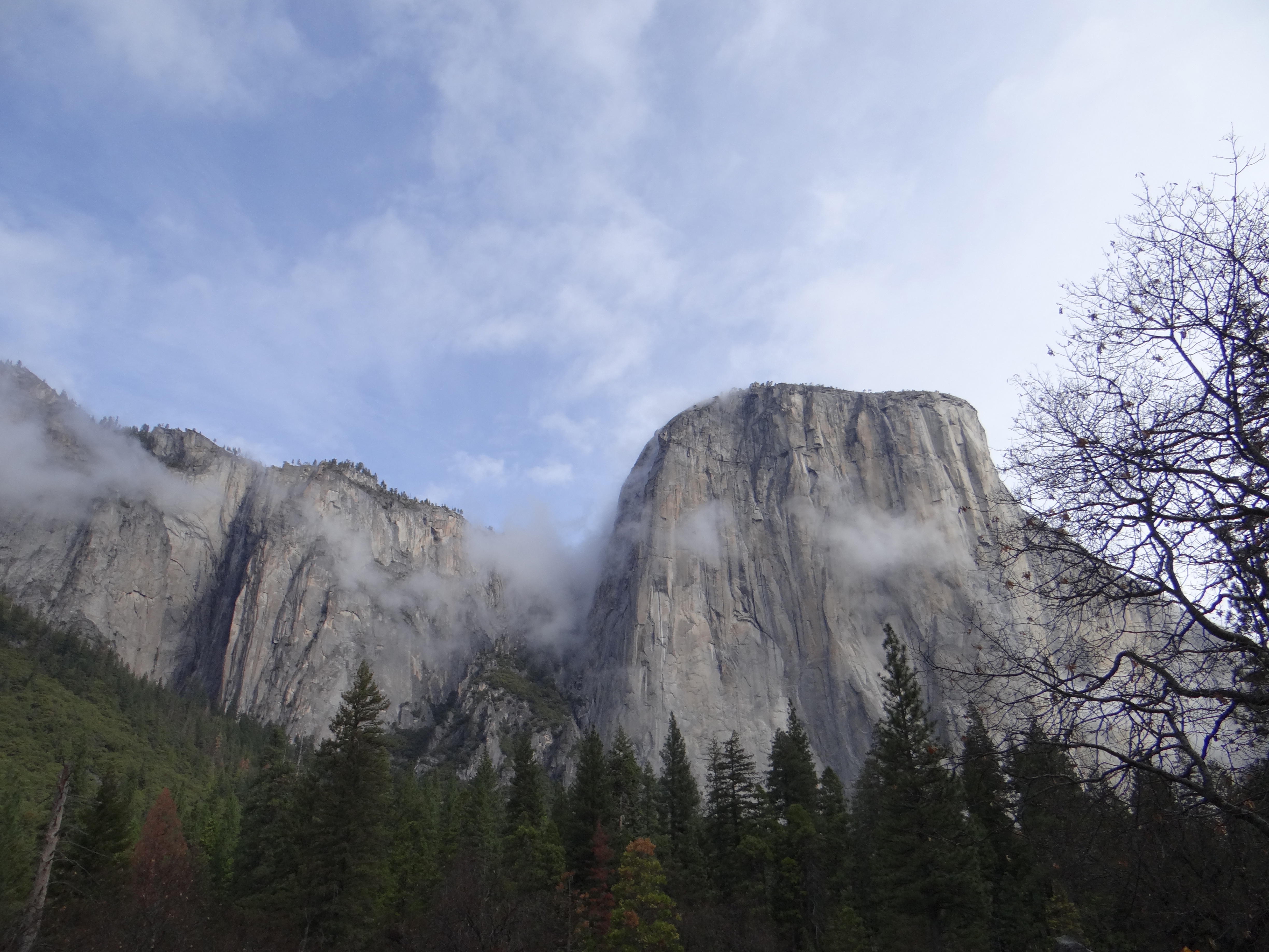 Do You Need a Reservation to Visit Yosemite? | Smart News - Vimarsana News