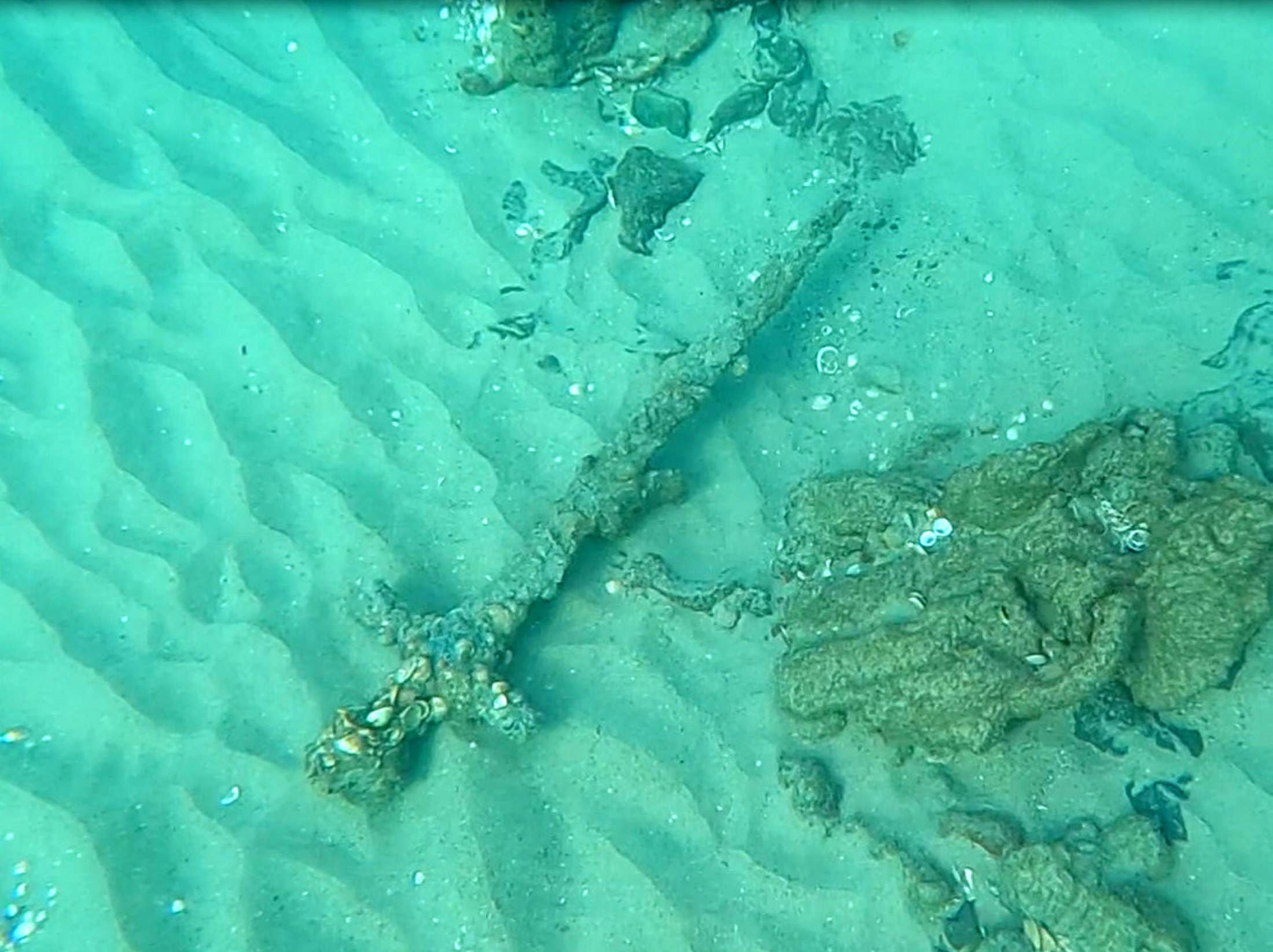 Diver Discovers 900-Year-Old Crusader Sword Off Israel's Coast | Smart News - Vimarsana News