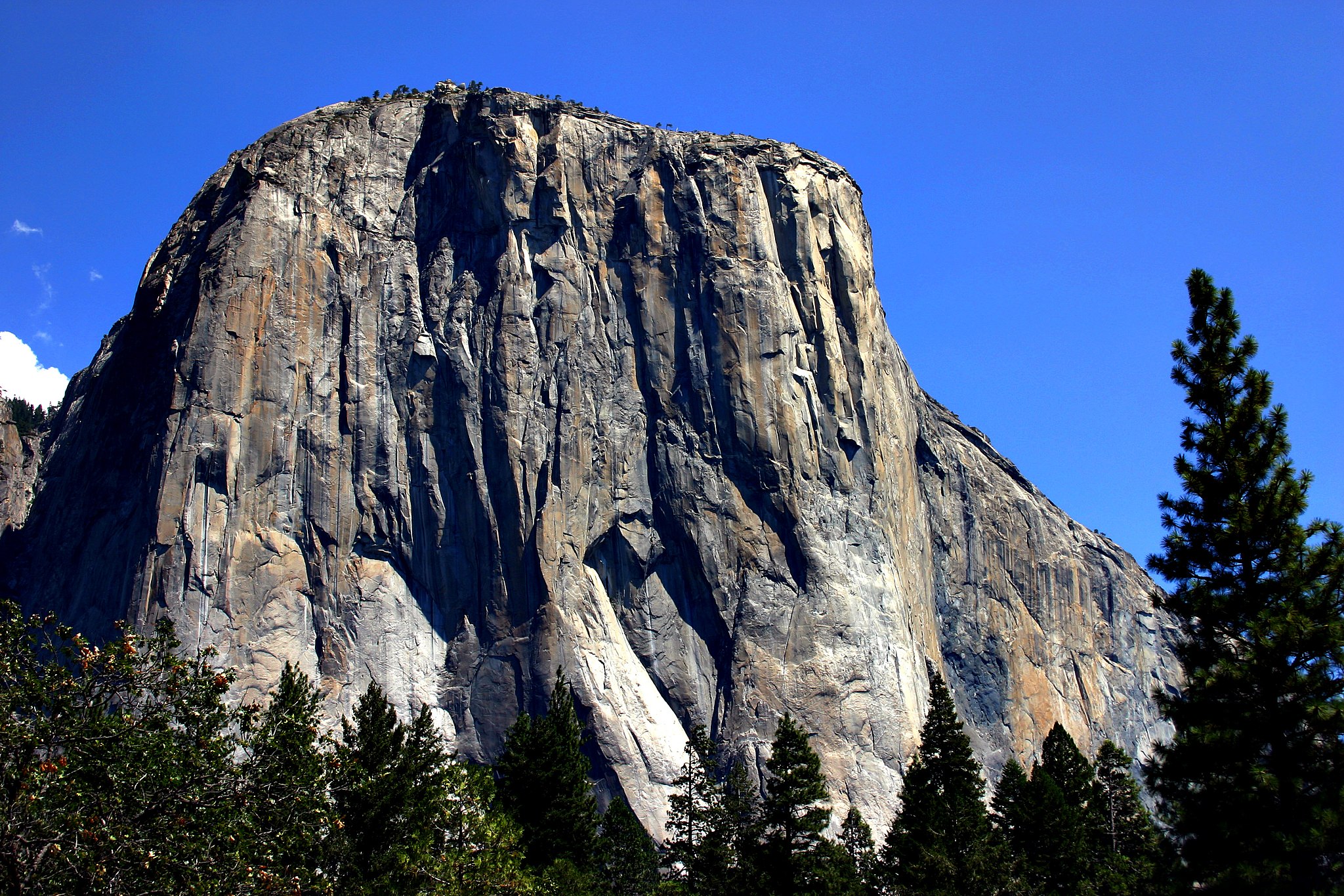 This 8-Year-Old Boy Became the Youngest Person to Ascend El Capitan | Smart News - Vimarsana News