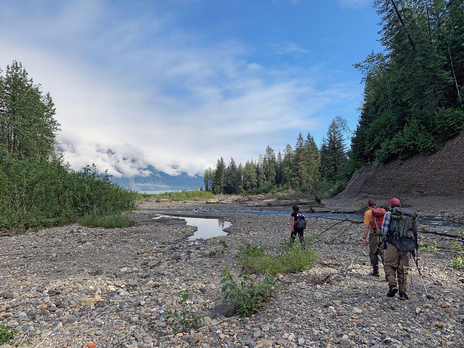 As Glaciers Retreat, New Streams Offer Homes for Salmon | Science - Vimarsana News