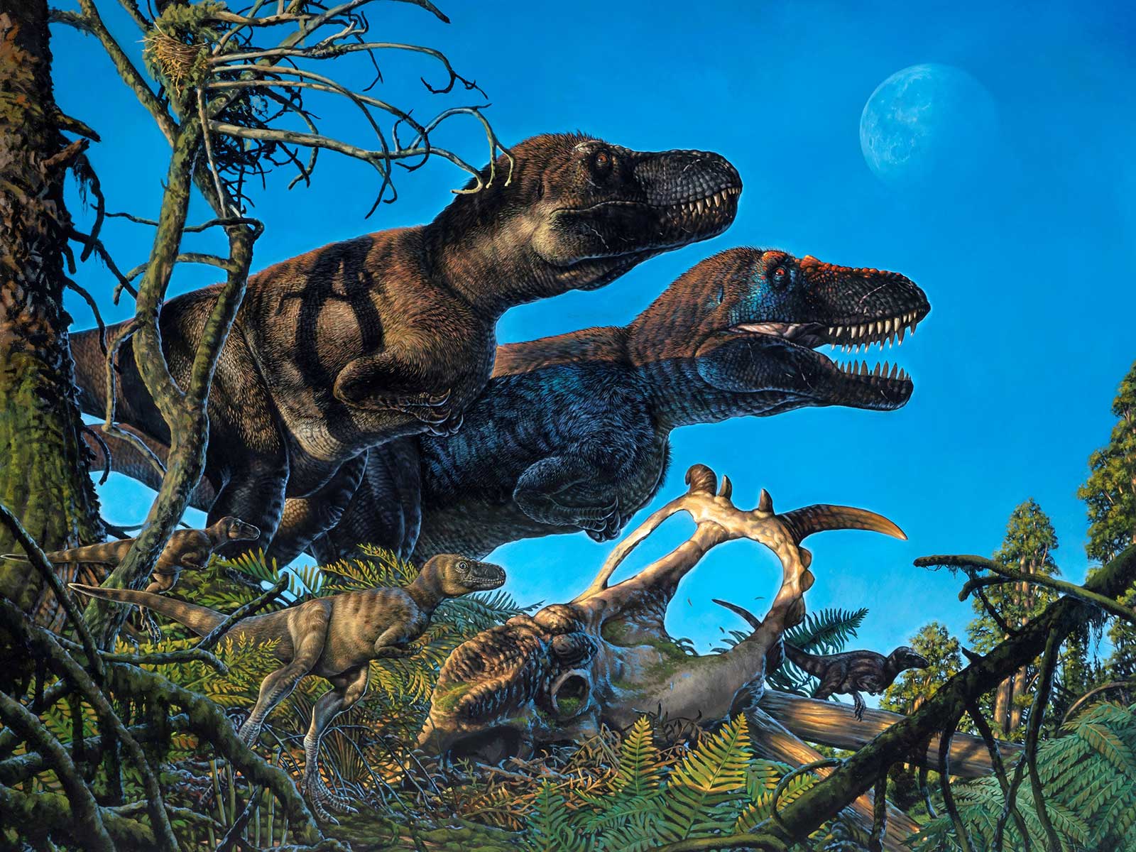 The Top Ten Dinosaur Discoveries of 2021 | Science | Smithsonian Magazine - Vimarsana News