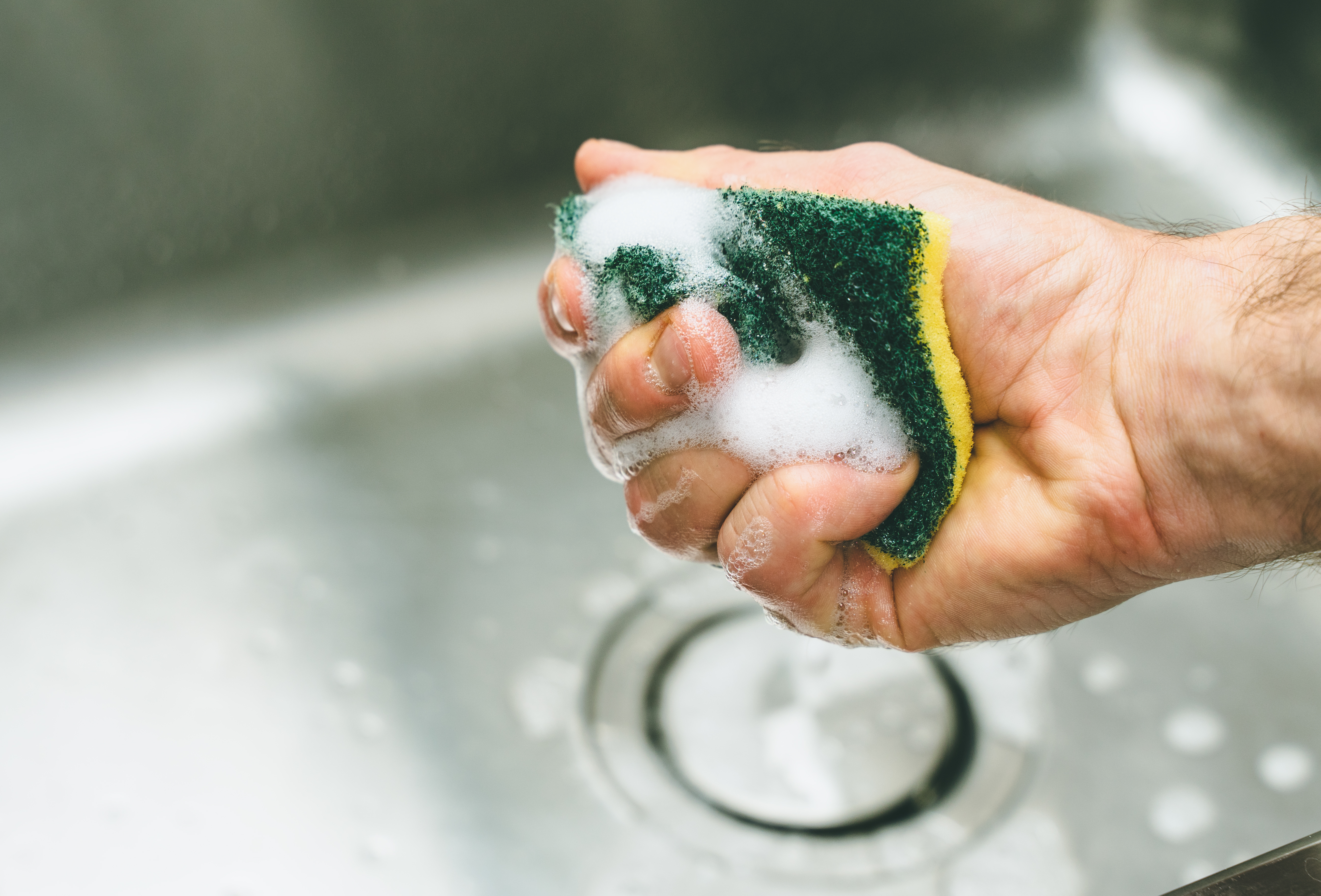 Your Kitchen Sponge Is a Better Home for Bacteria Than a Petri Dish | Smart News - Vimarsana News