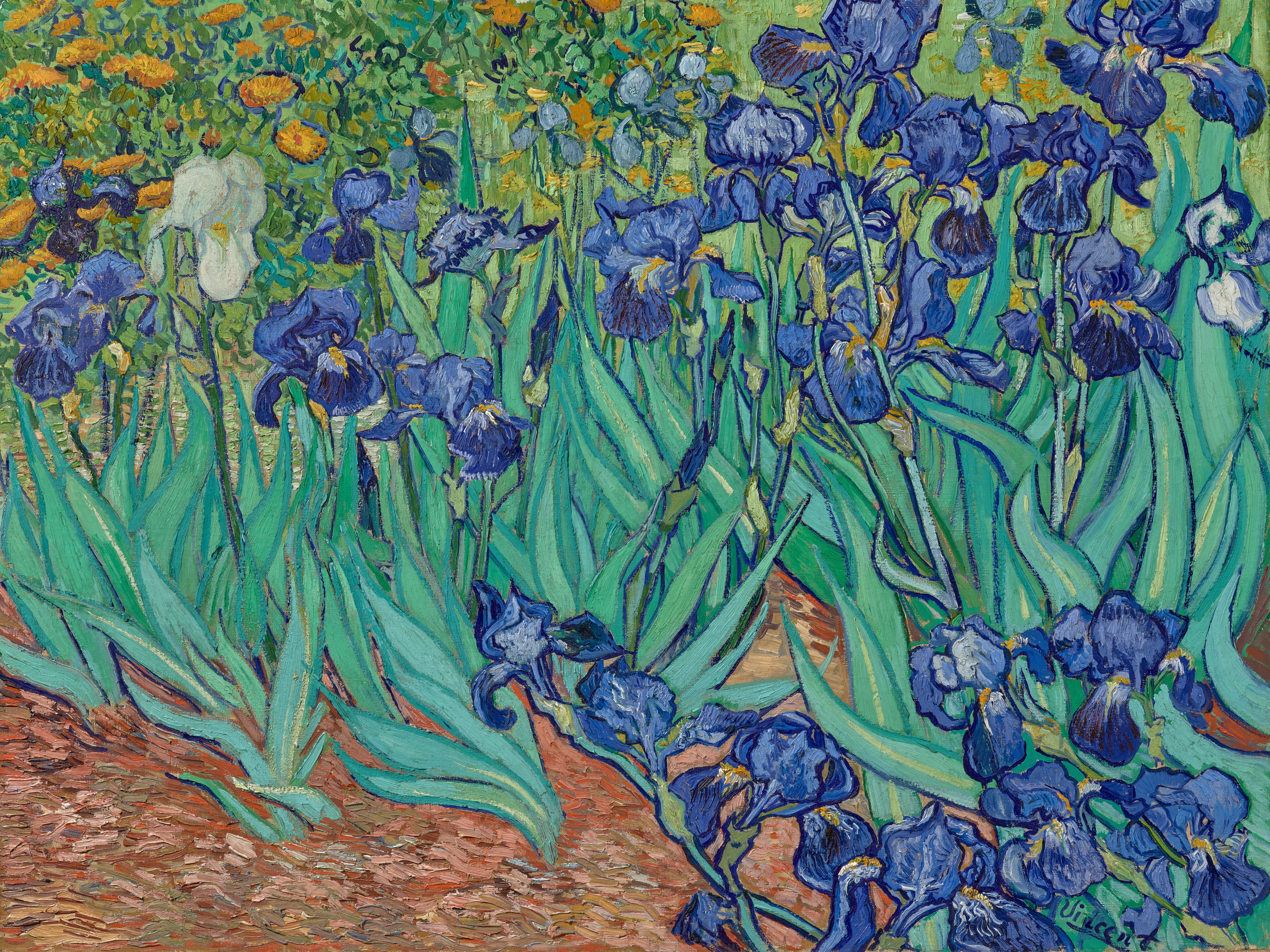 Painting: Van Gogh – Irises (1889)