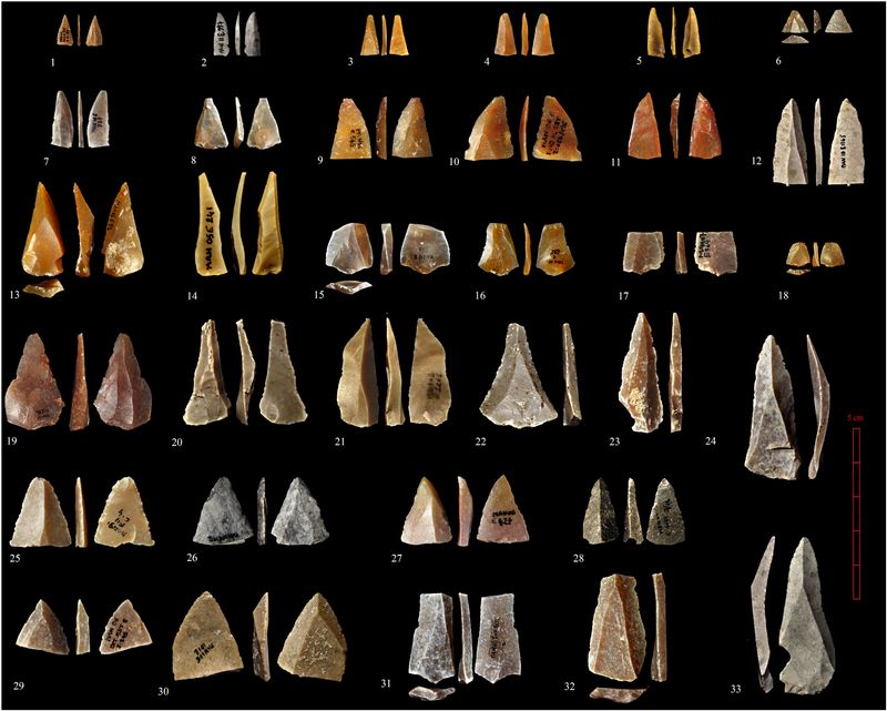 Discovery of Ancient Baby Tooth Places Humans in Western Europe 10,000 Years Earlier Than Previously Thought | Smart News - Vimarsana News