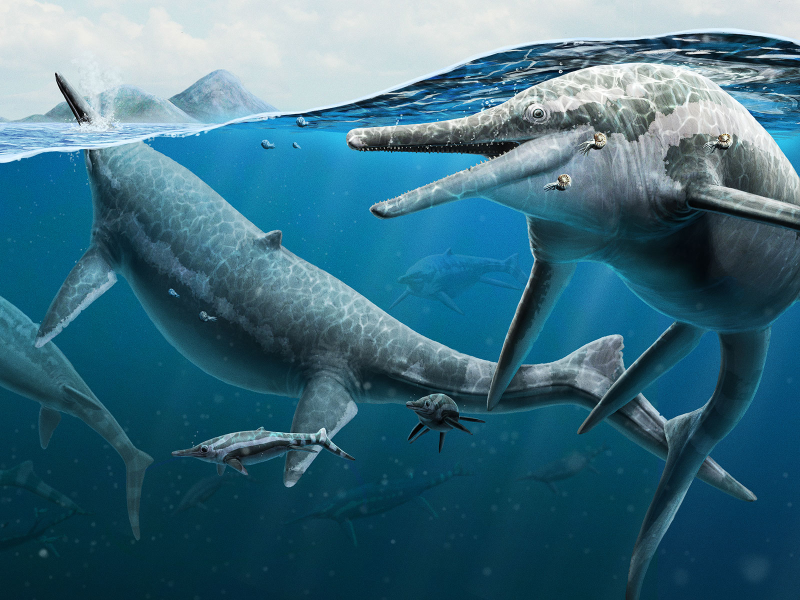 Paleontologists May Have Solved the Mystery Behind a Prehistoric Reptile Graveyard | Science - Vimarsana News