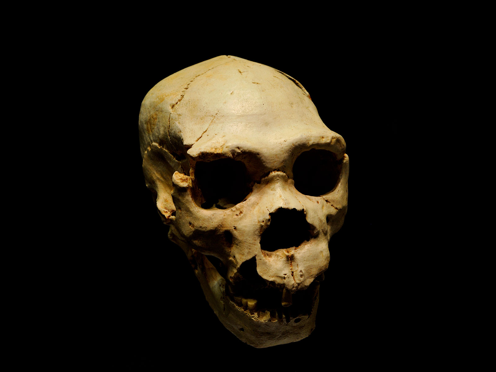 How Did Climate Change Affect Ancient Humans? | Science - Vimarsana News