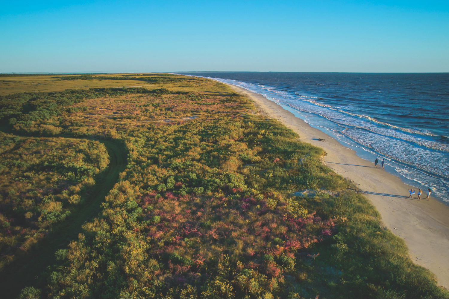 Discover the Charming Allure of Georgia's Golden Isles | Sponsored - Vimarsana News