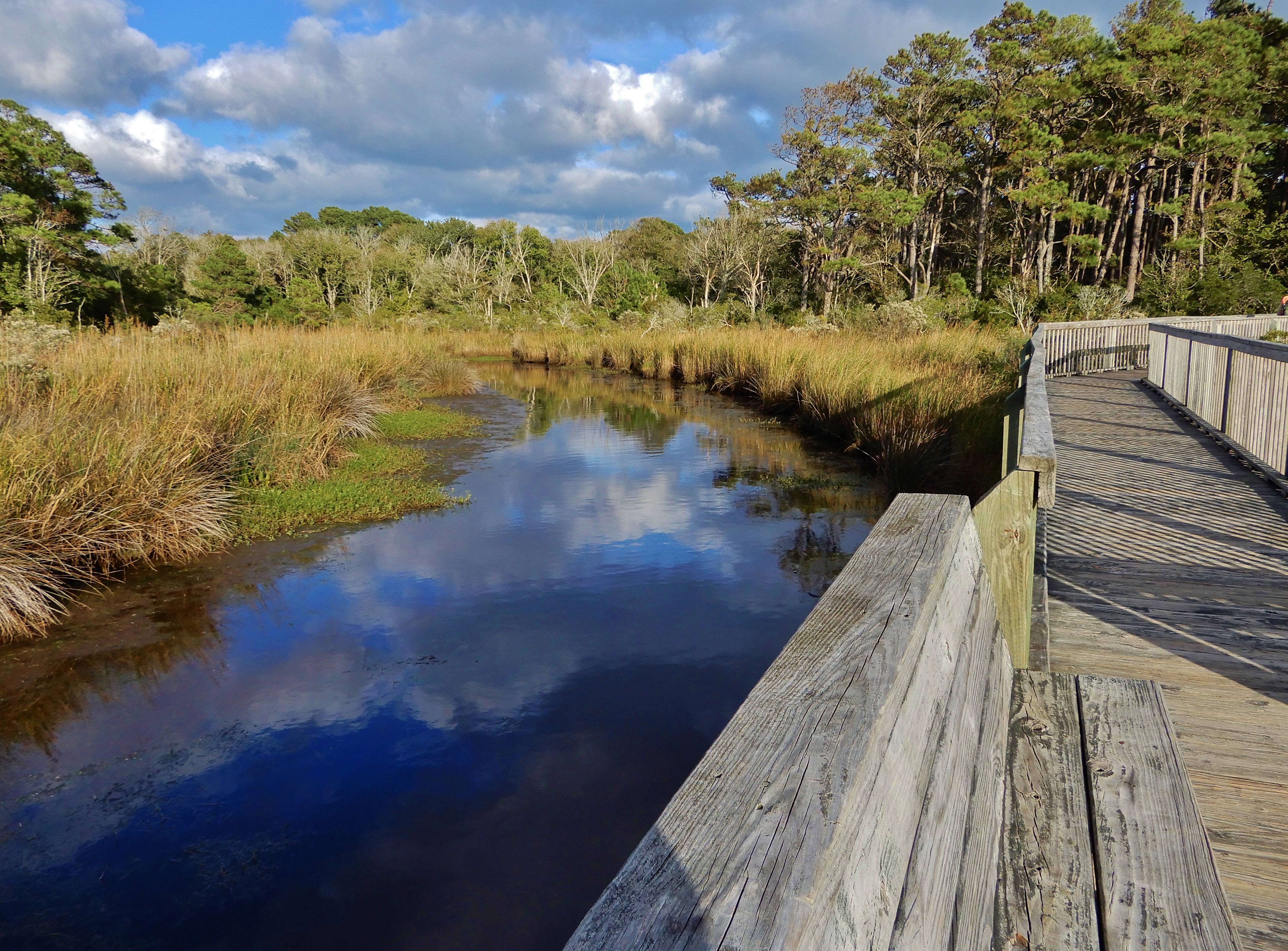 A clear blue river winds through a reedy wetland, reflecting the clouds overhead. A wooden boardwalk with rails overlooks the river on the right.