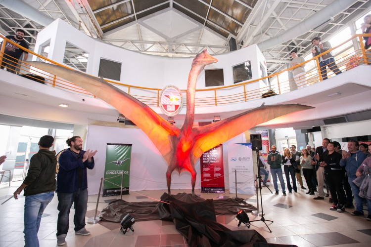 Paleontologists Find Biggest Pterosaur Species Ever Unearthed in South America | Smart News - Vimarsana News