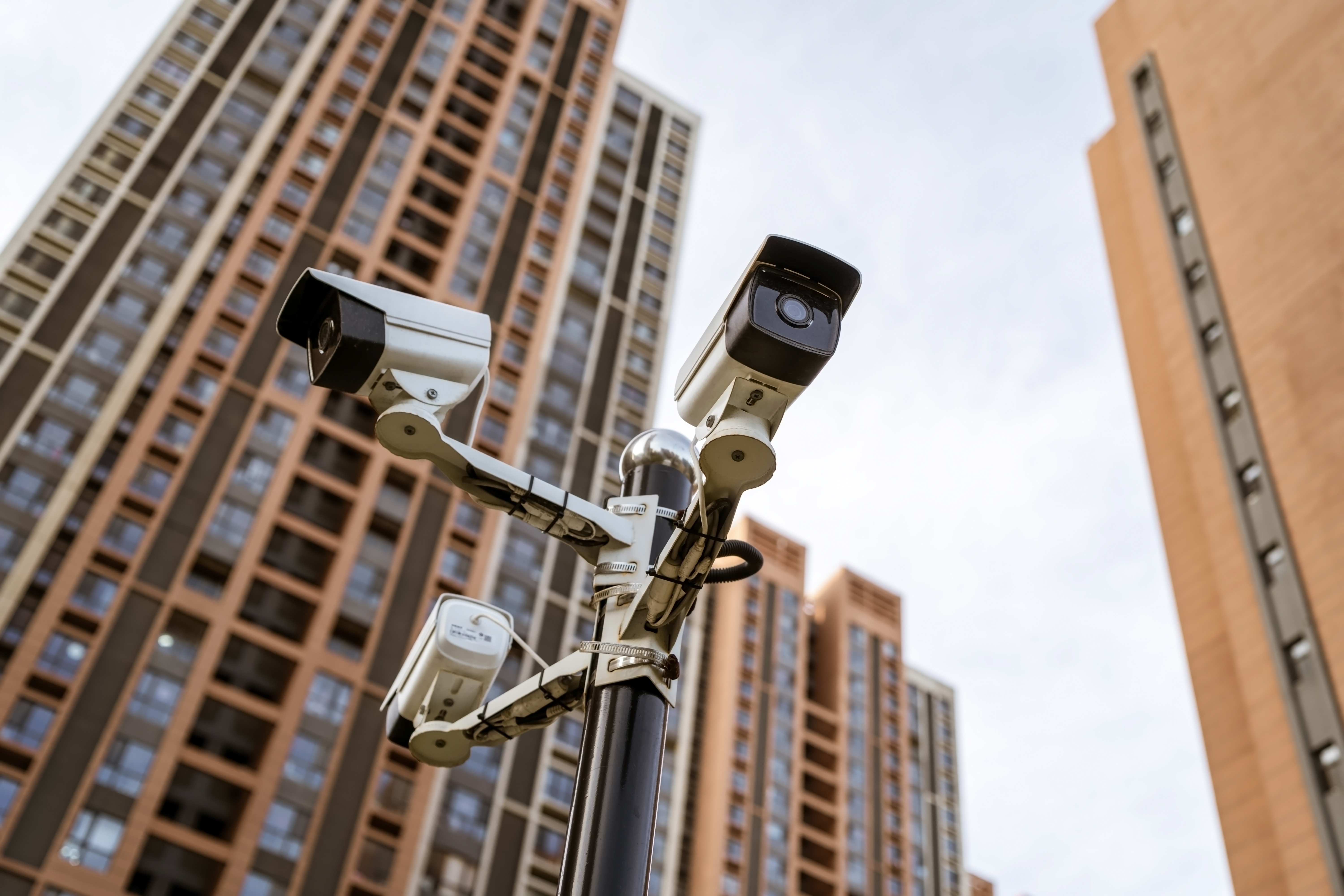 This Controversial Artist Matches Influencer Photos With Surveillance Footage | Smart News - Vimarsana News