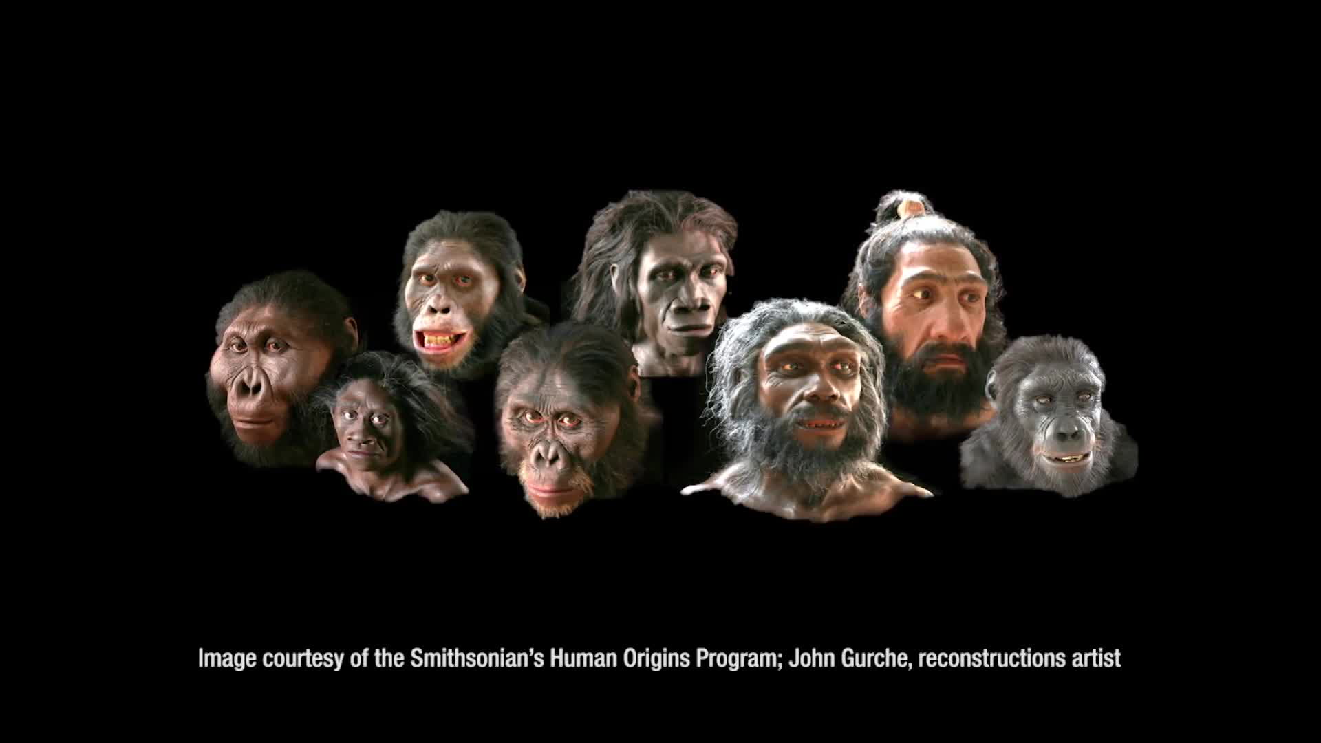 Is Human Evolution Over? Smithsonian Magazine