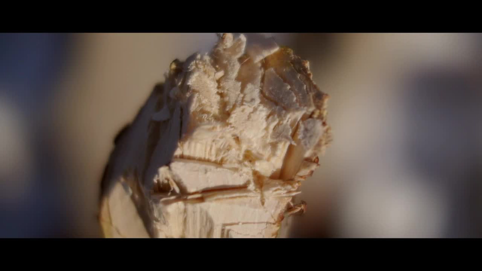 Chopsticks Smithsonian Magazine