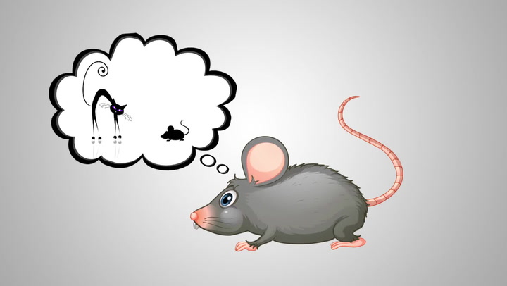 Ask Smithsonian: Can Cats Really Make Rats Into Zombies? Smithsonian