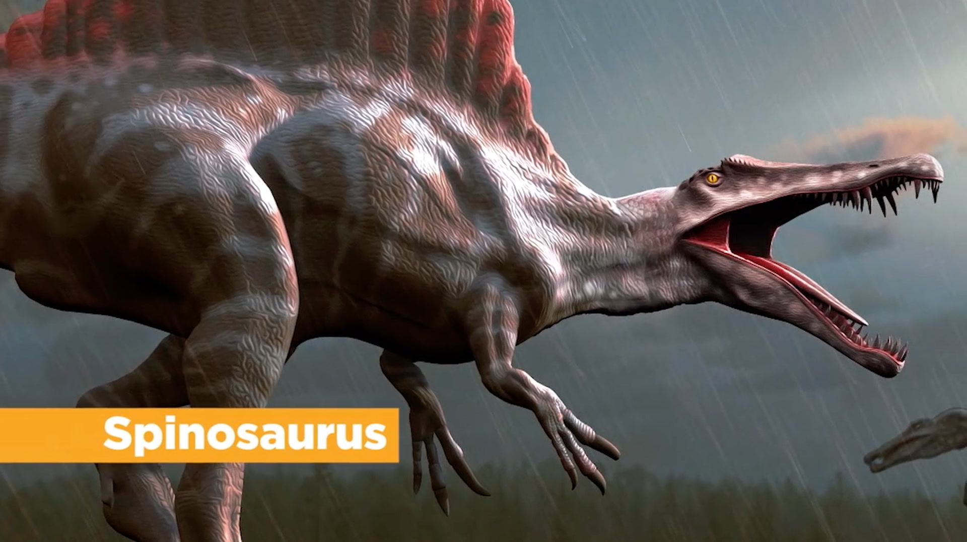Trailer "Introduction to Paleontology" by The Great Courses Plus